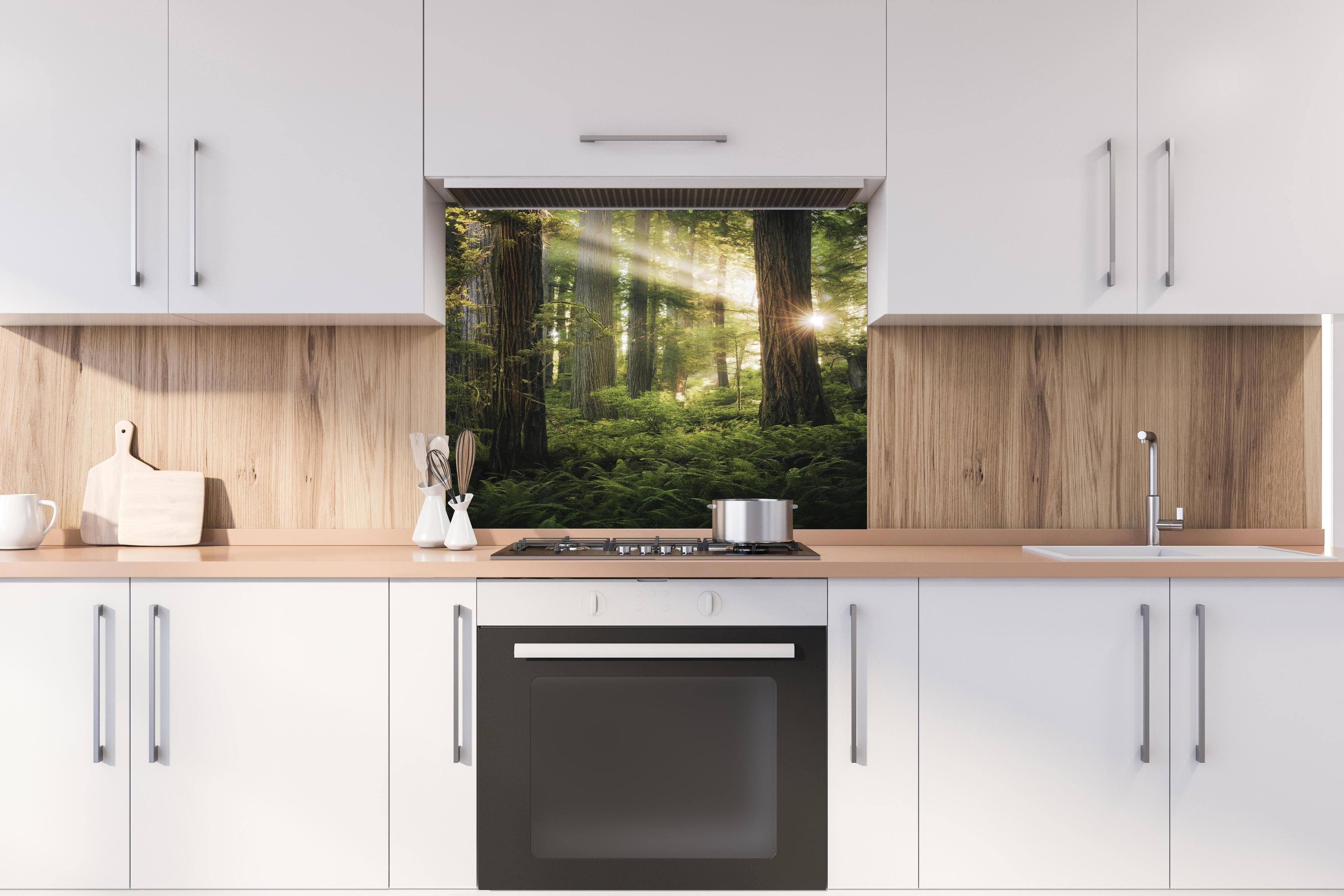 Spritzschutz - Sonnendurchfluteter Herbstwald in Kalifornien hinter einem Cerankochfeld zwischen Holz-Kochutensilien
