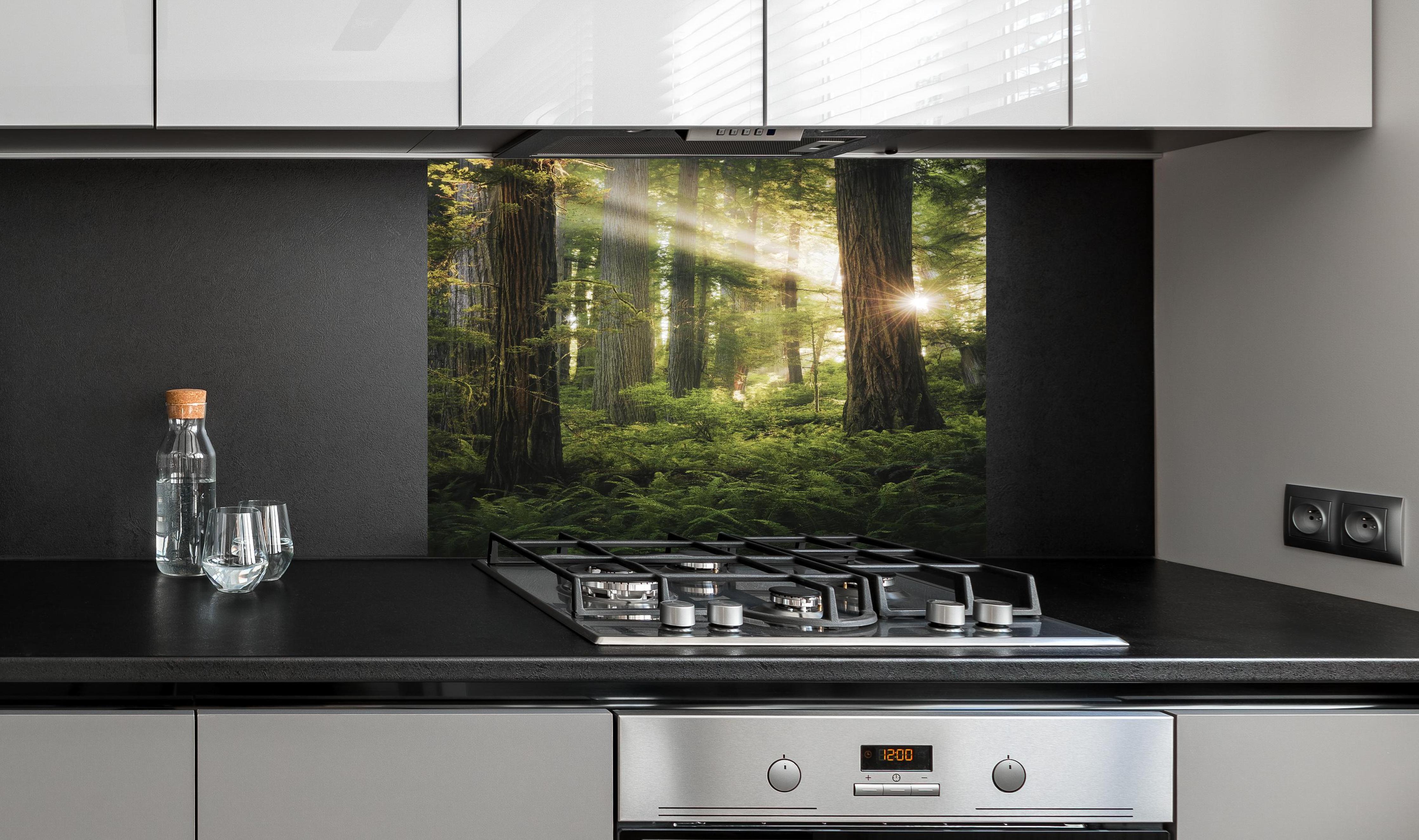 Spritzschutz - Sonnendurchfluteter Herbstwald in Kalifornien hinter einem Cerankochfeld zwischen Holz-Kochutensilien
