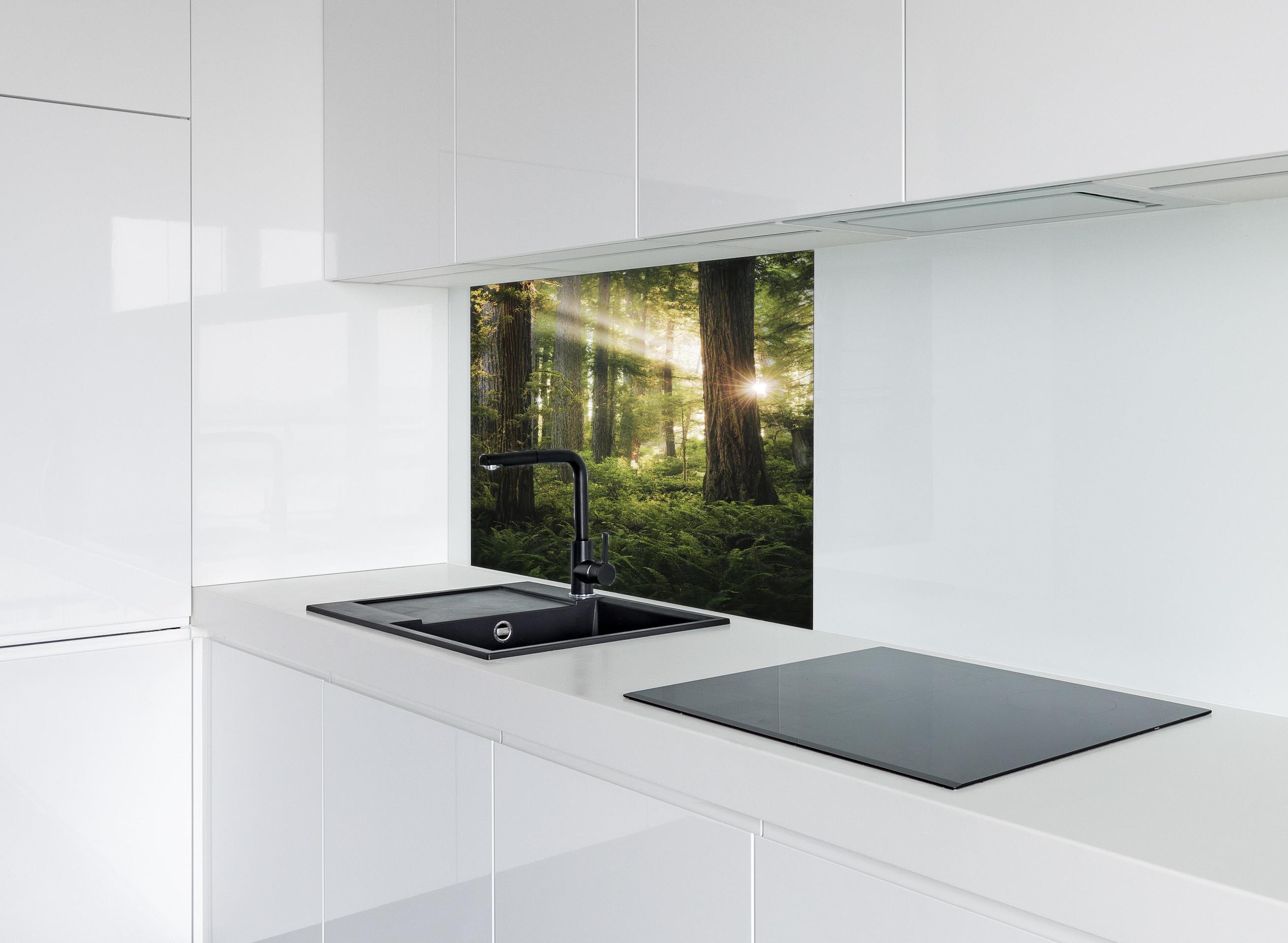 Spritzschutz - Sonnendurchfluteter Herbstwald in Kalifornien hinter einem Cerankochfeld zwischen Holz-Kochutensilien
