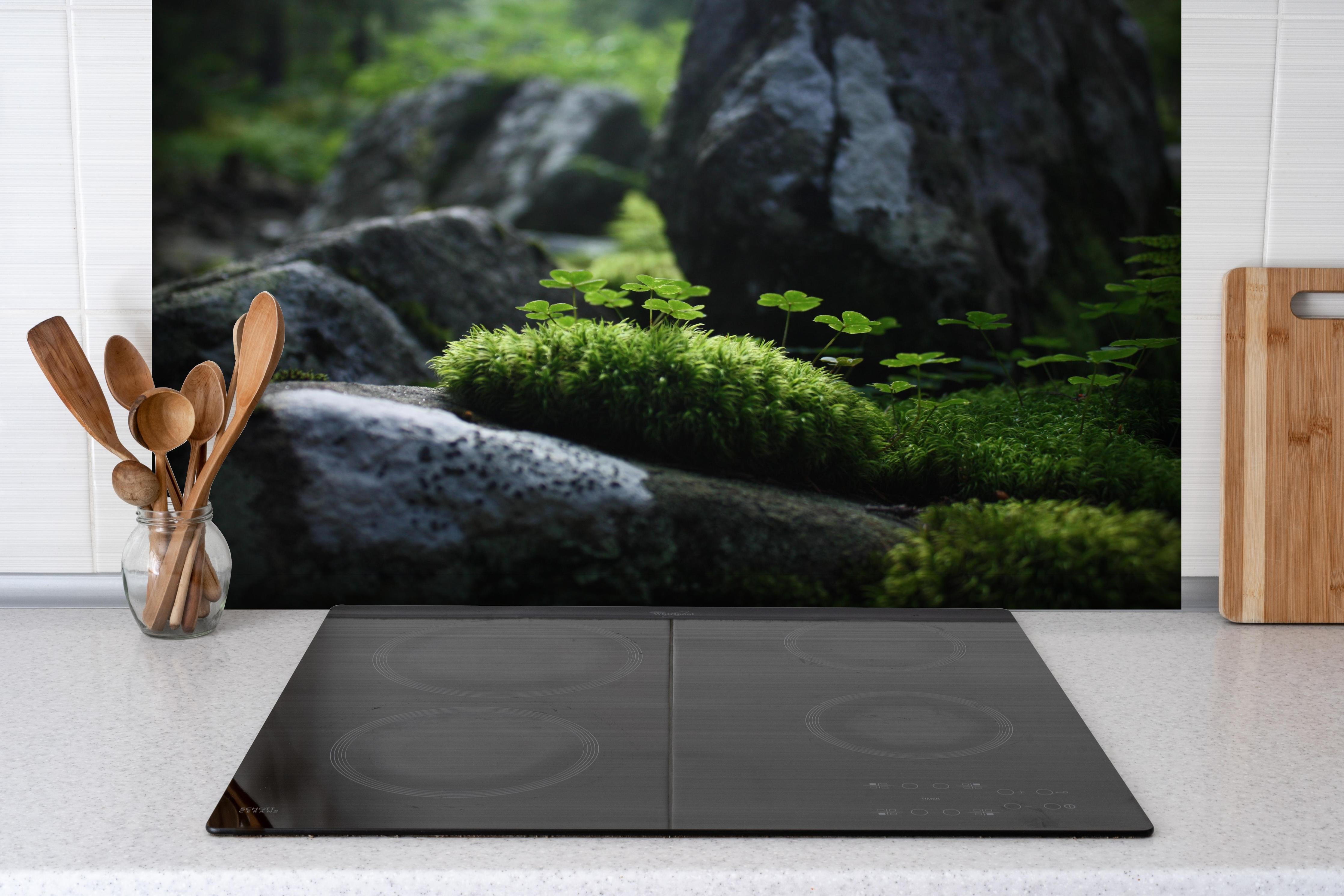 Spritzschutz - Sonnendurchflutetes Moos auf Bergsteinen hinter einem Cerankochfeld zwischen Holz-Kochutensilien
