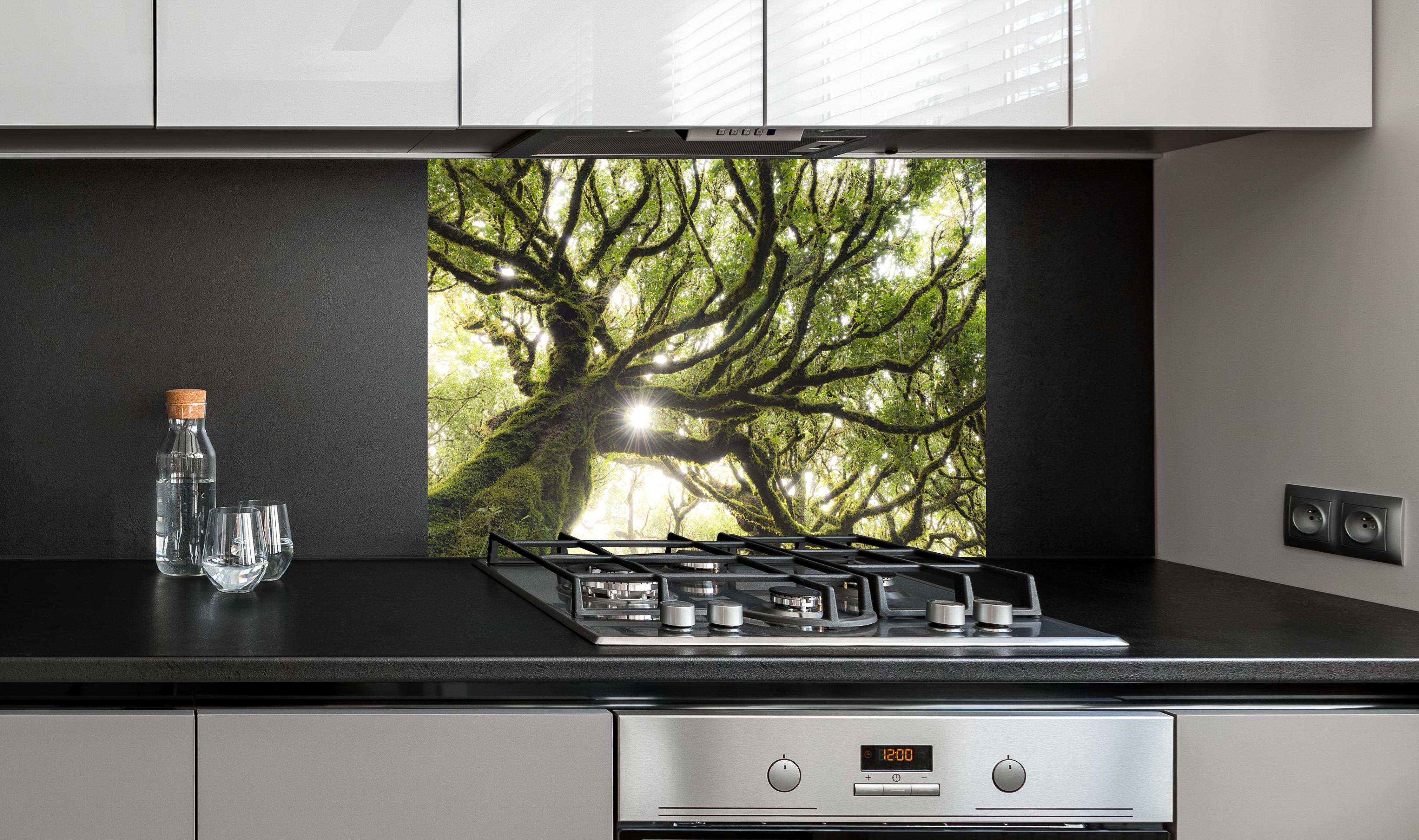 Spritzschutz - Sonnenstrahlen im Wald hinter einem Cerankochfeld zwischen Holz-Kochutensilien
