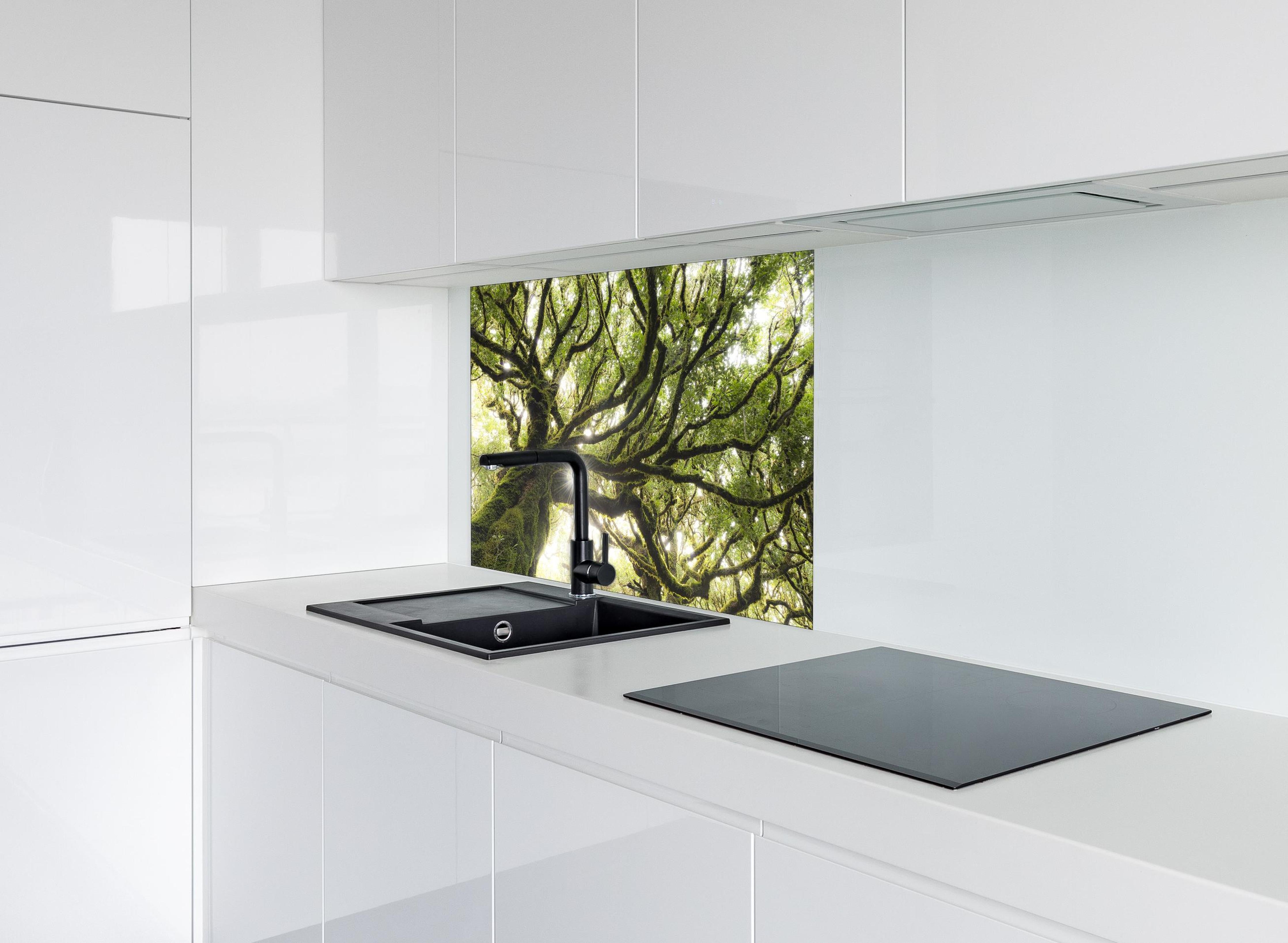 Spritzschutz - Sonnenstrahlen im Wald hinter einem Cerankochfeld zwischen Holz-Kochutensilien
