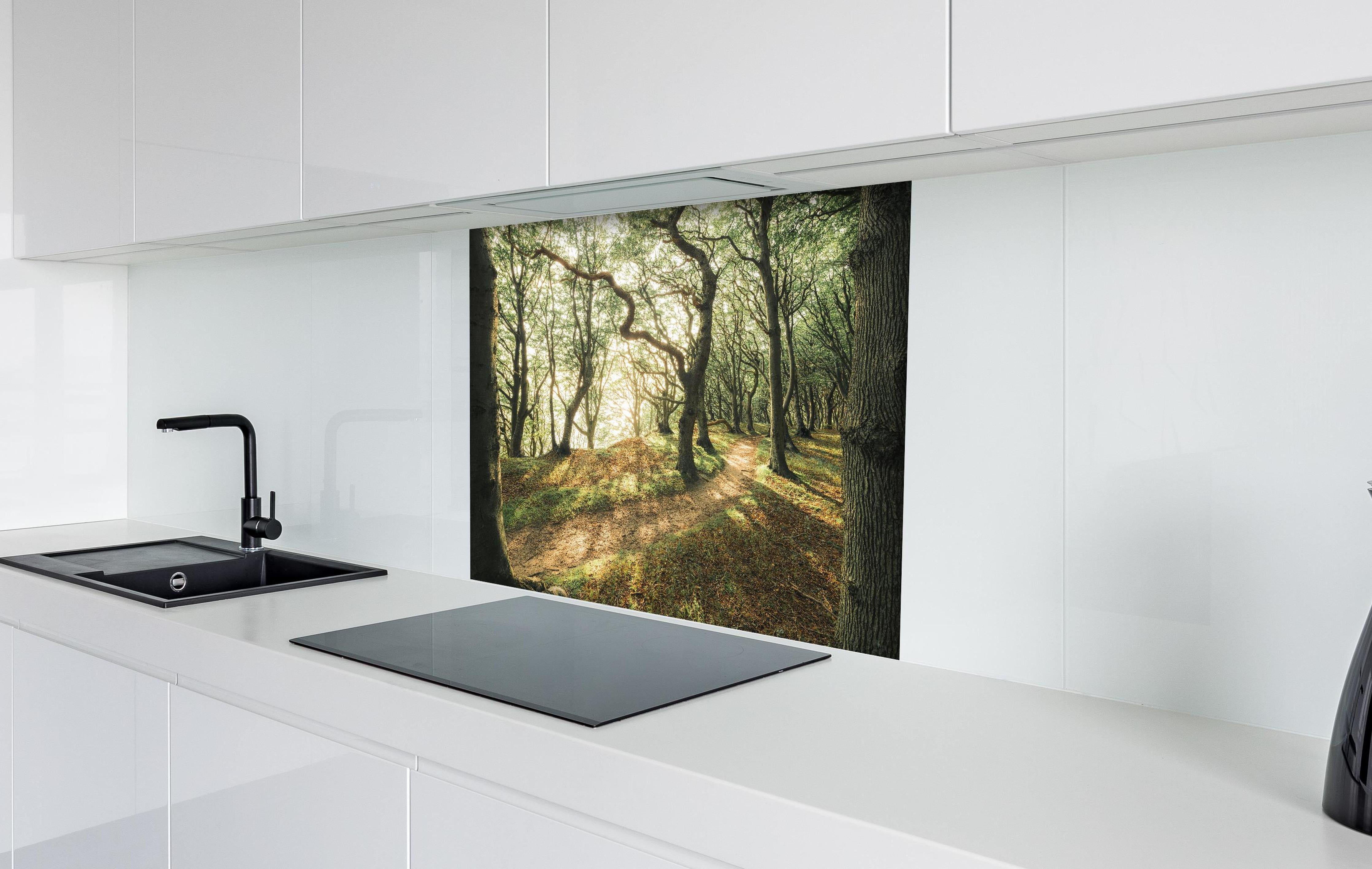 Spritzschutz - Sonnenstrahlen im Waldweg hinter einem Cerankochfeld zwischen Holz-Kochutensilien
