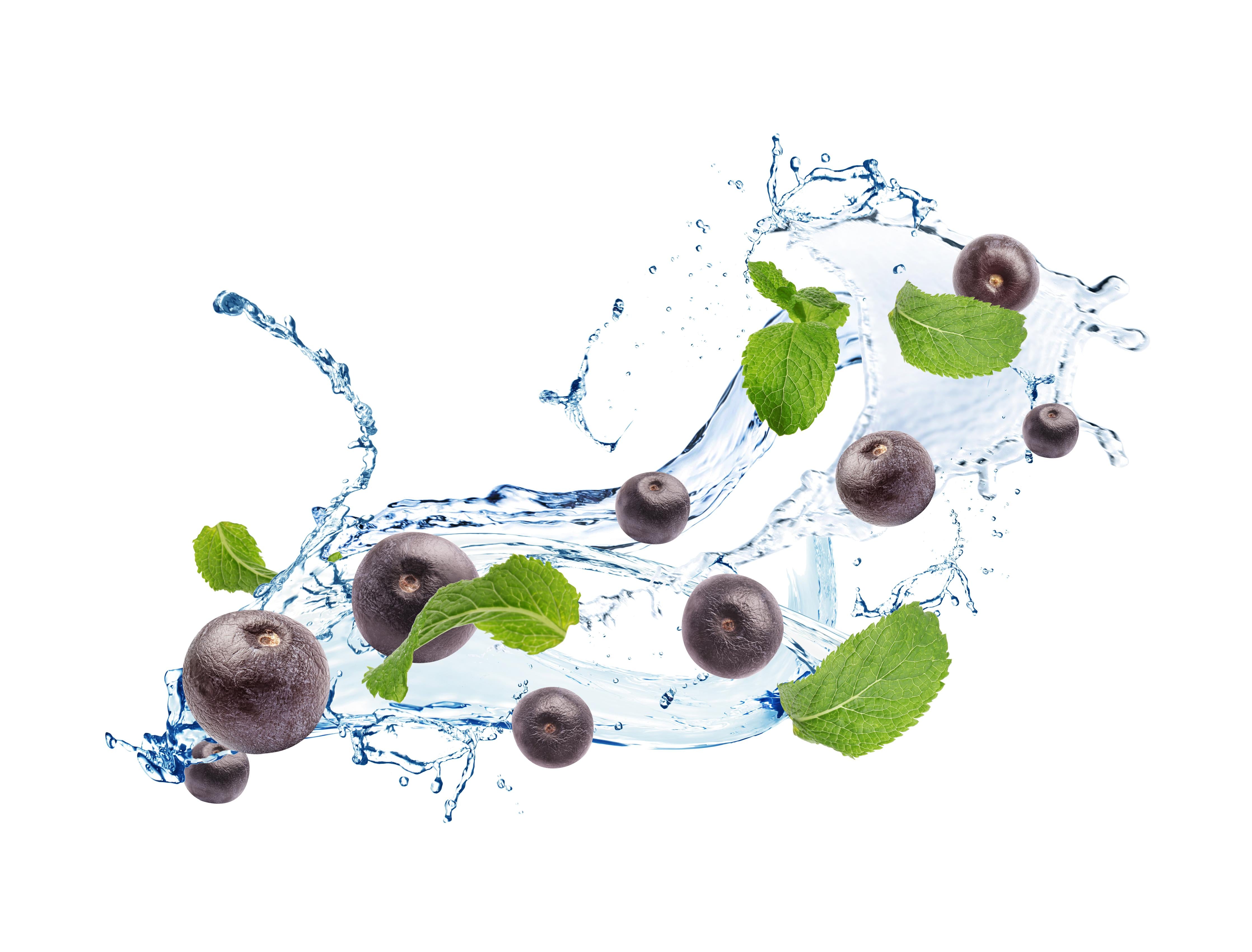 Spritzschutz-Spritzige Blaubeeren