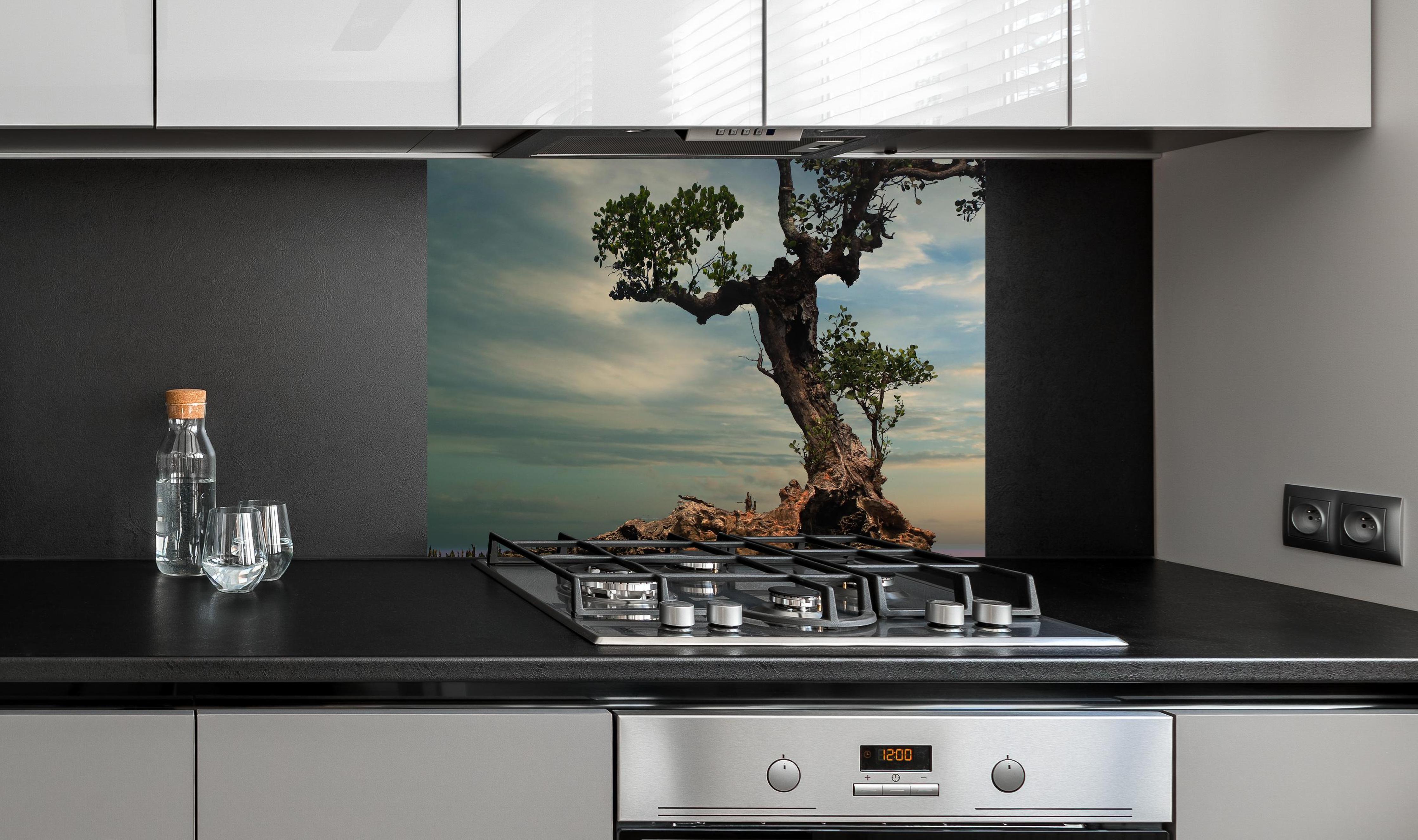 Spritzschutz - Alter Baum am Strand an edler Anthrazit-Wand hinter silbernem Gasherd