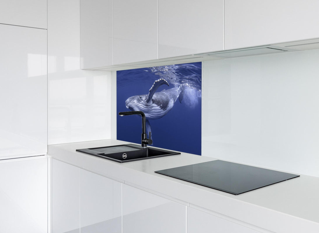 Spritzschutz - Baby-Buckelwal-Kalb im blauen Wasser hinter modernem schwarz-matten Spülbecken in weißer Hochglanz-Küche