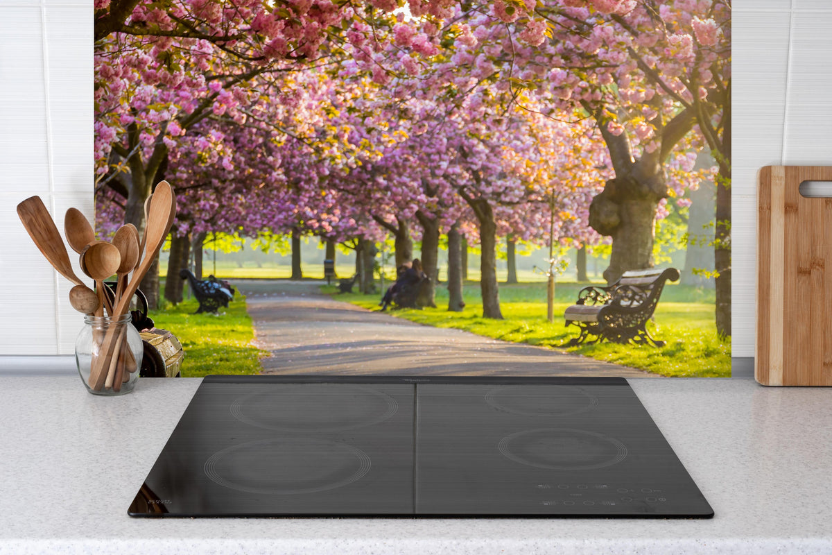 Spritzschutz - Bänke unter Kirschblütenbäumen hinter einem Cerankochfeld zwischen Holz-Kochutensilien
