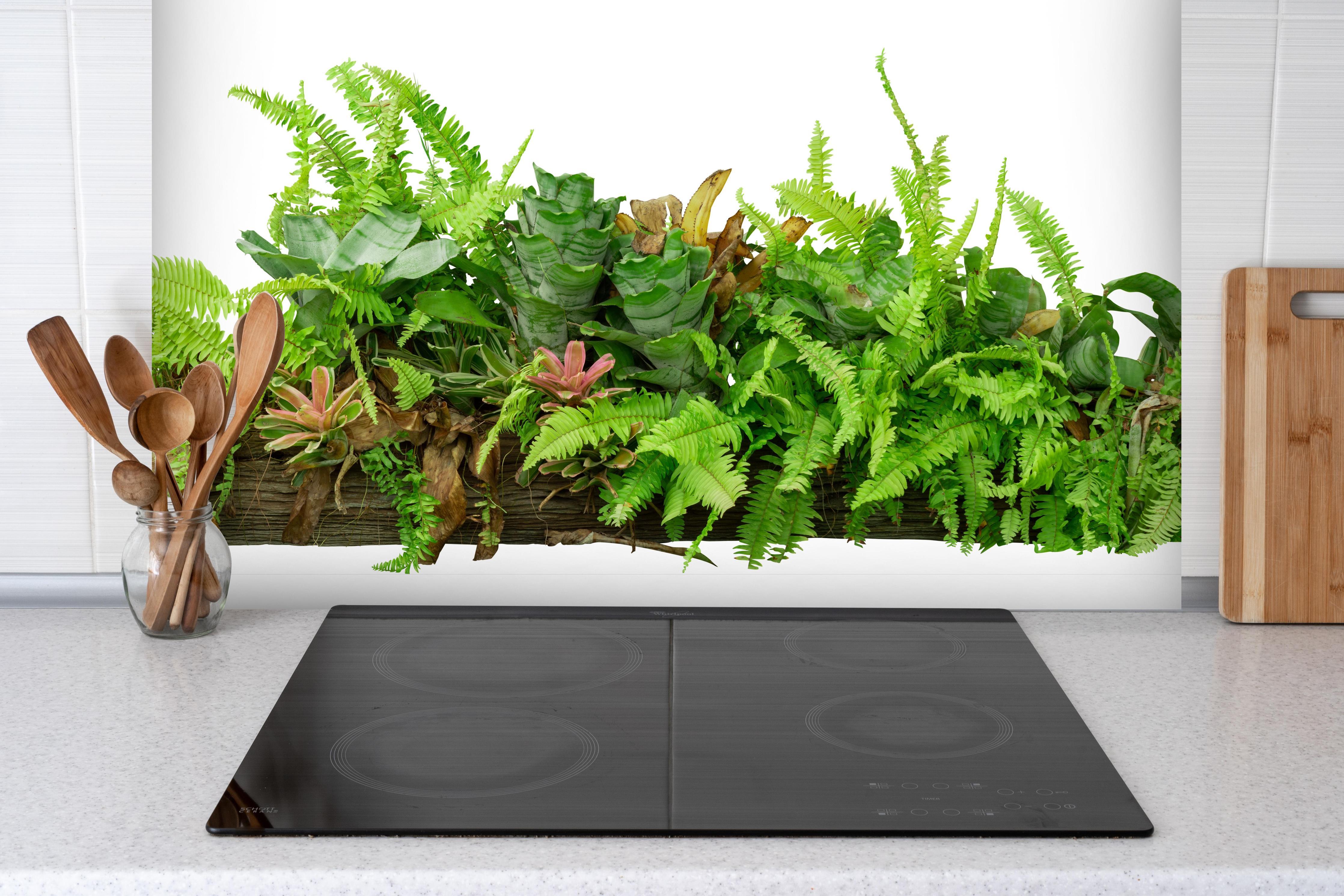 Spritzschutz - Dschungelpflanzen auf Holzstamm hinter einem Cerankochfeld zwischen Holz-Kochutensilien
