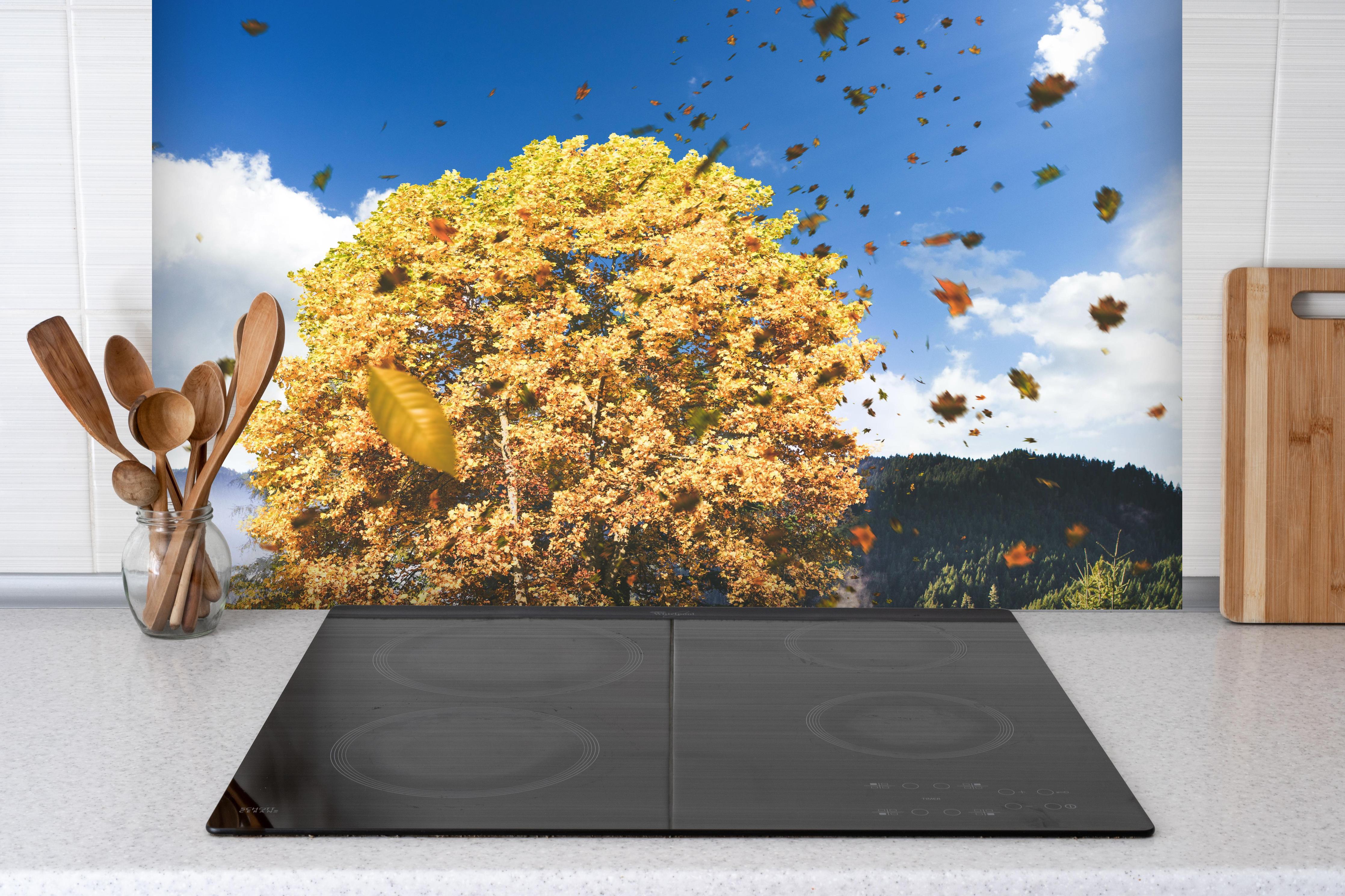Spritzschutz - Einzelner Herbst Baum im Wald bei Wind hinter einem Cerankochfeld zwischen Holz-Kochutensilien

