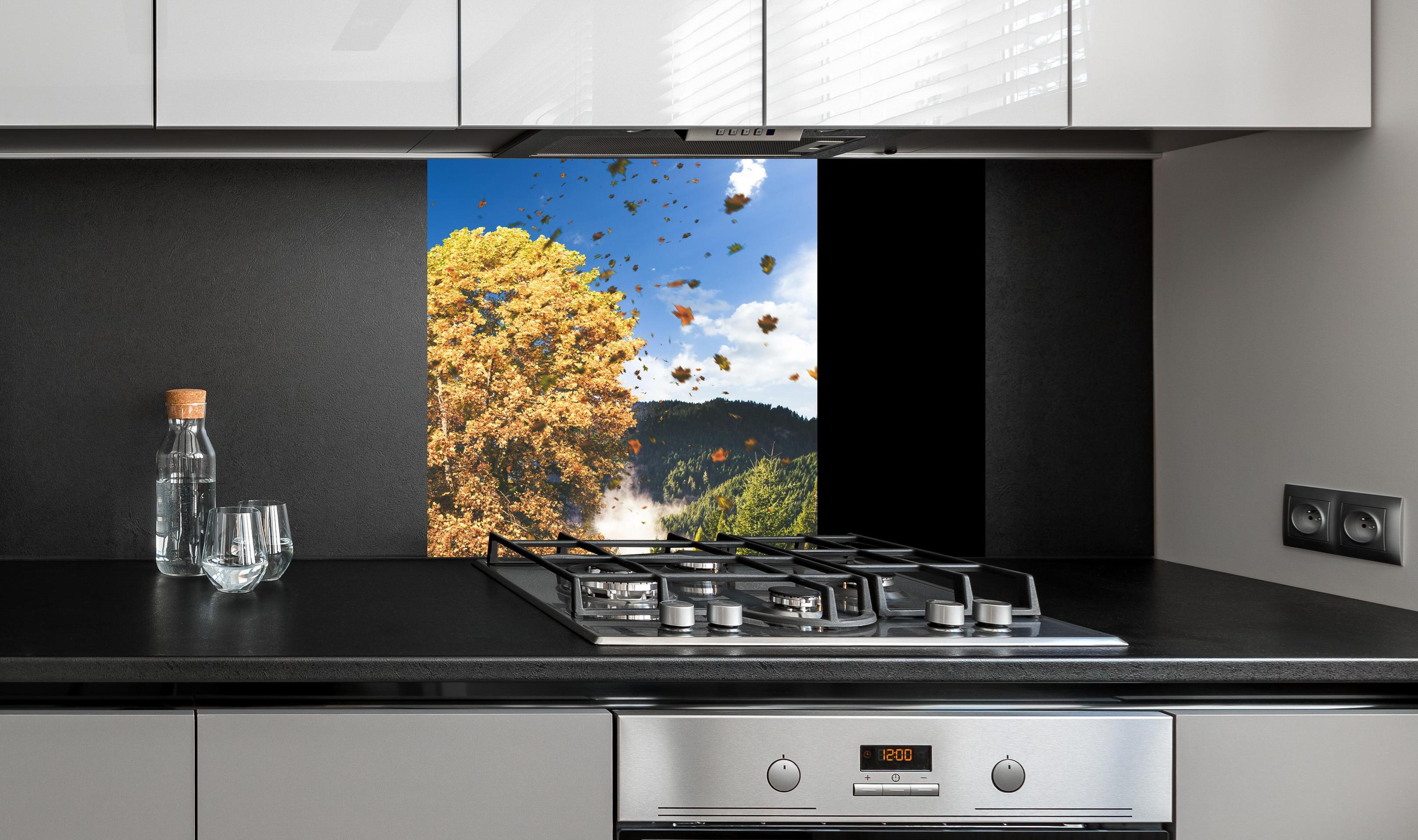 Spritzschutz - Einzelner Herbst Baum im Wald bei Wind an edler Anthrazit-Wand hinter silbernem Gasherd