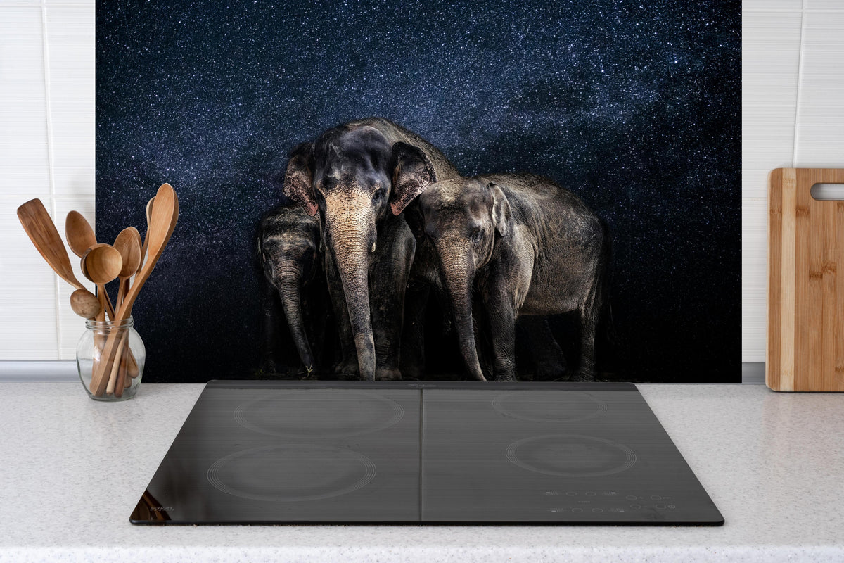 Spritzschutz - Elefantenfamilie zwischen den Sternen hinter einem Cerankochfeld zwischen Holz-Kochutensilien
