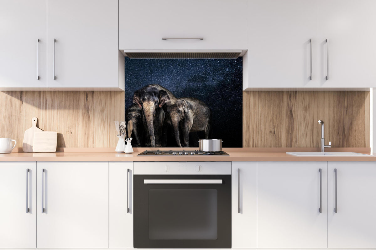 Spritzschutz - Elefantenfamilie zwischen den Sternen hinter stilvollem Gasherd unter Dunstabzugshaube