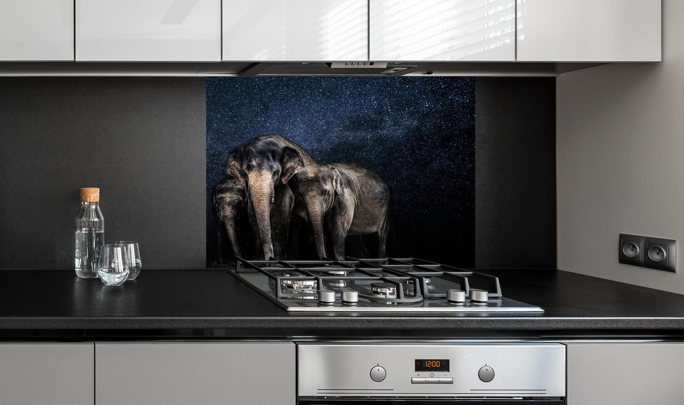 Spritzschutz - Elefantenfamilie zwischen den Sternen an edler Anthrazit-Wand hinter silbernem Gasherd
