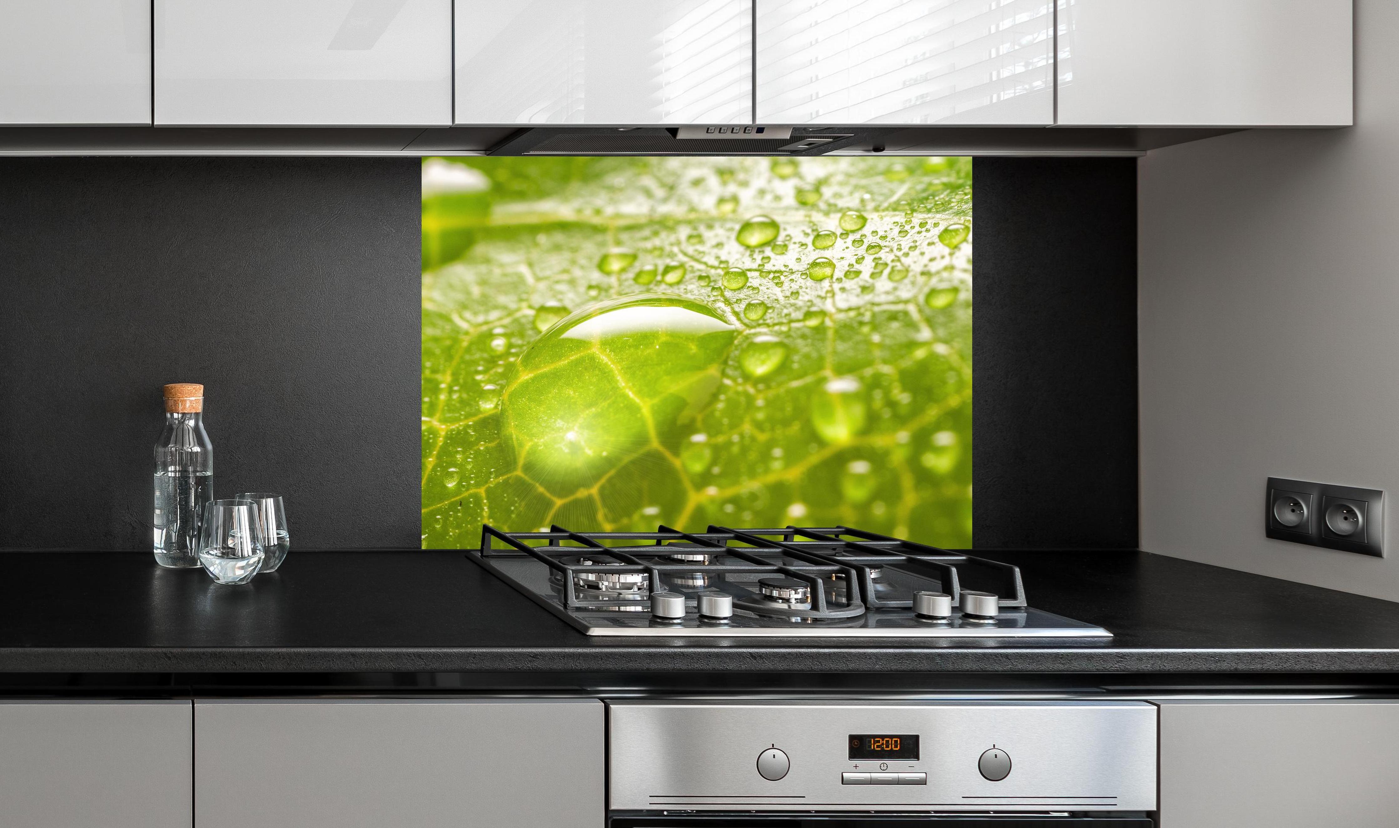 Spritzschutz - Feuchtes Blatt an edler Anthrazit-Wand hinter silbernem Gasherd