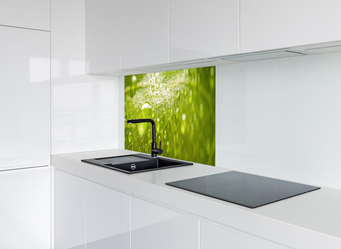 Spritzschutz - Feuchtes Blatt hinter modernem schwarz-matten Spülbecken in weißer Hochglanz-Küche