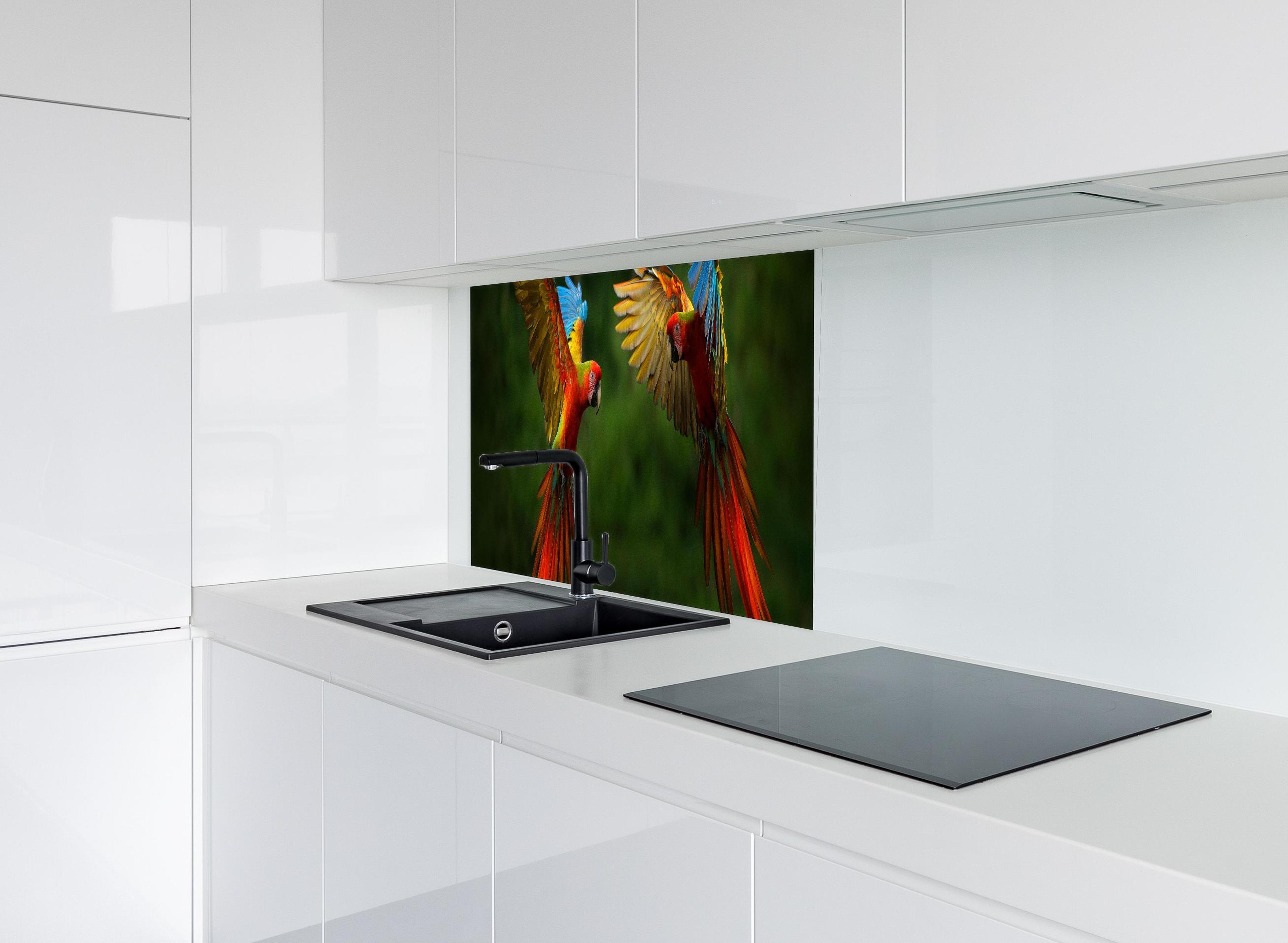 Spritzschutz - Fliegende bunte Papageien hinter modernem schwarz-matten Spülbecken in weißer Hochglanz-Küche
