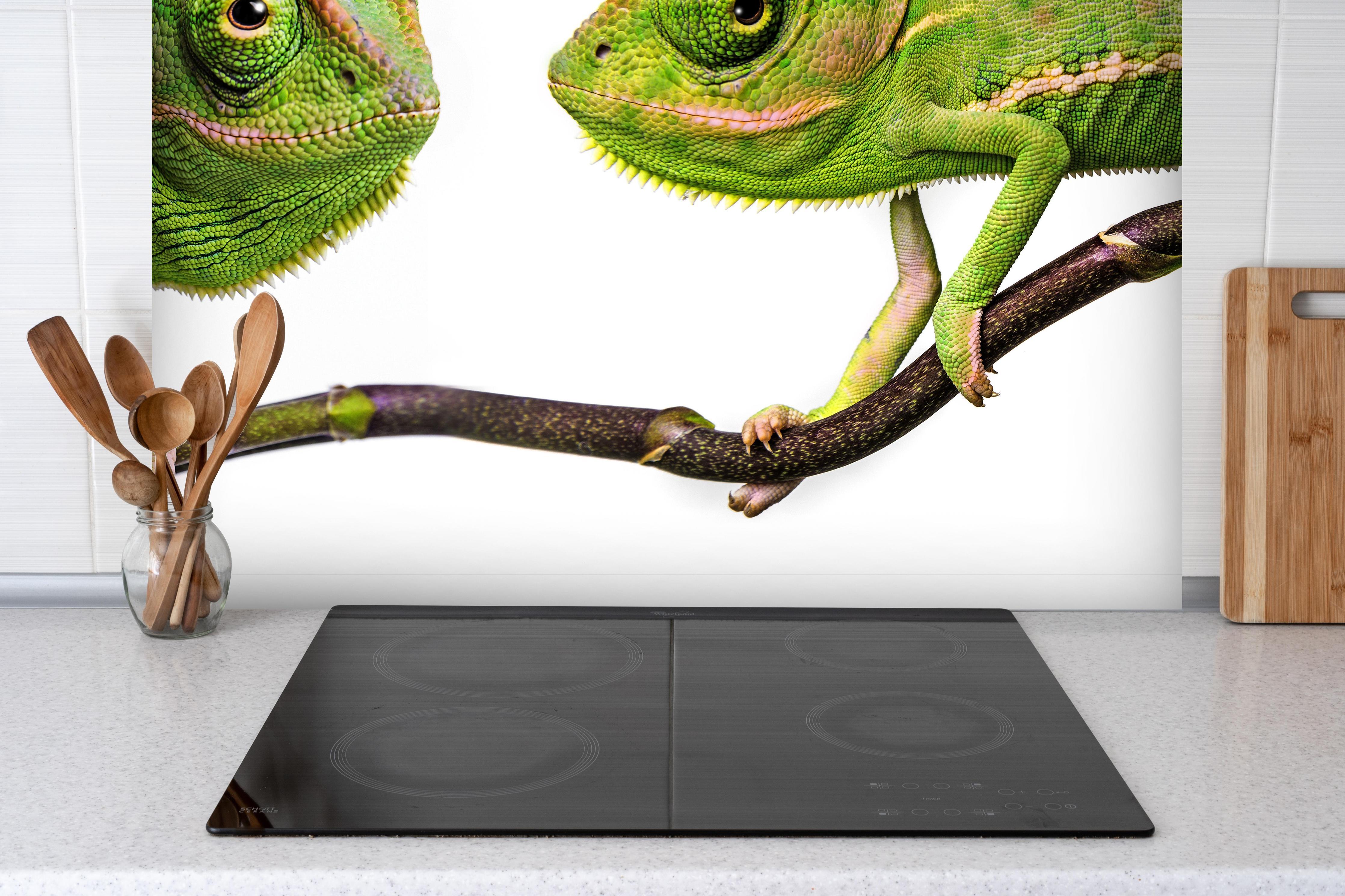 Spritzschutz - Fröhliche Chamäleons hinter einem Cerankochfeld zwischen Holz-Kochutensilien

