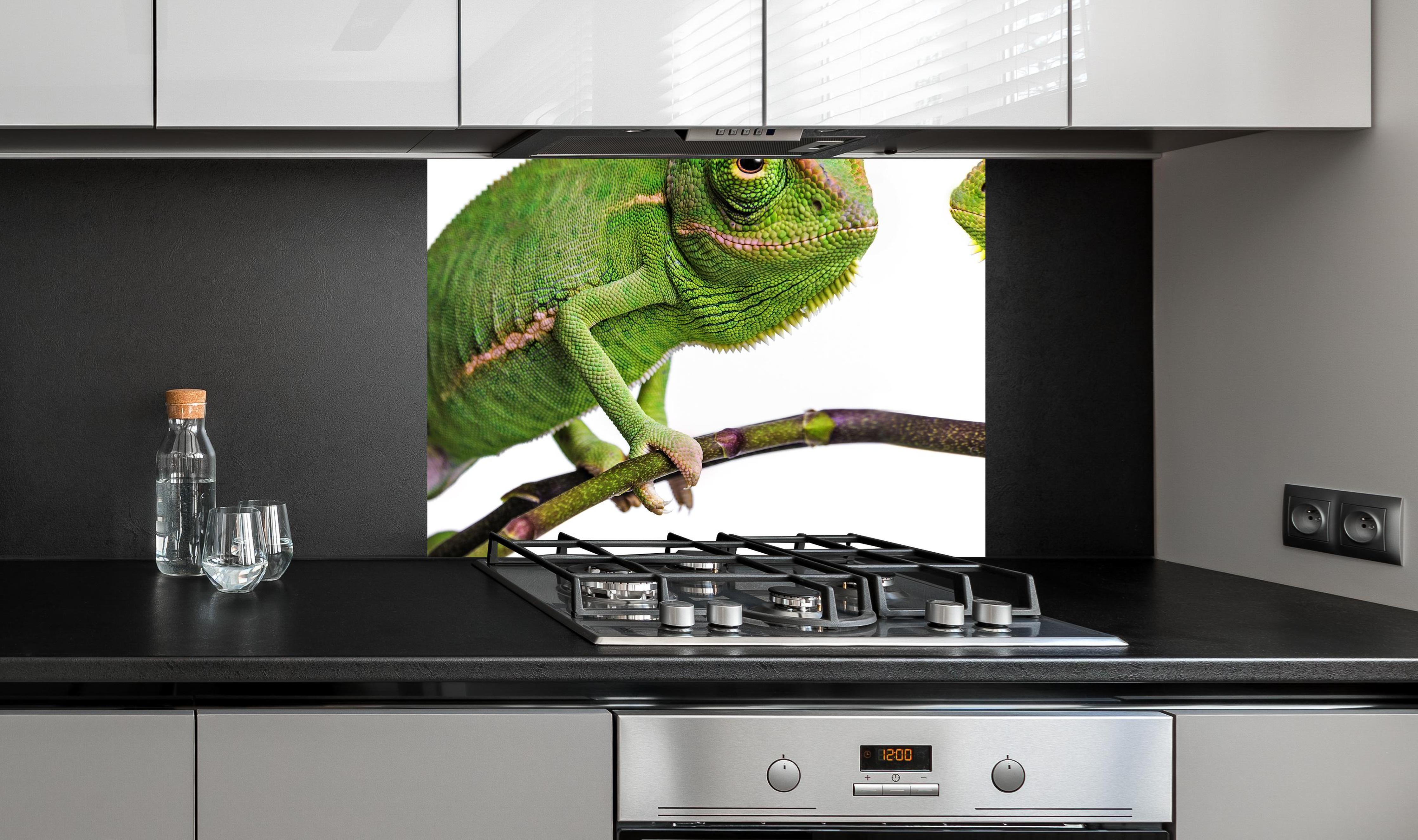 Spritzschutz - Fröhliche Chamäleons an edler Anthrazit-Wand hinter silbernem Gasherd