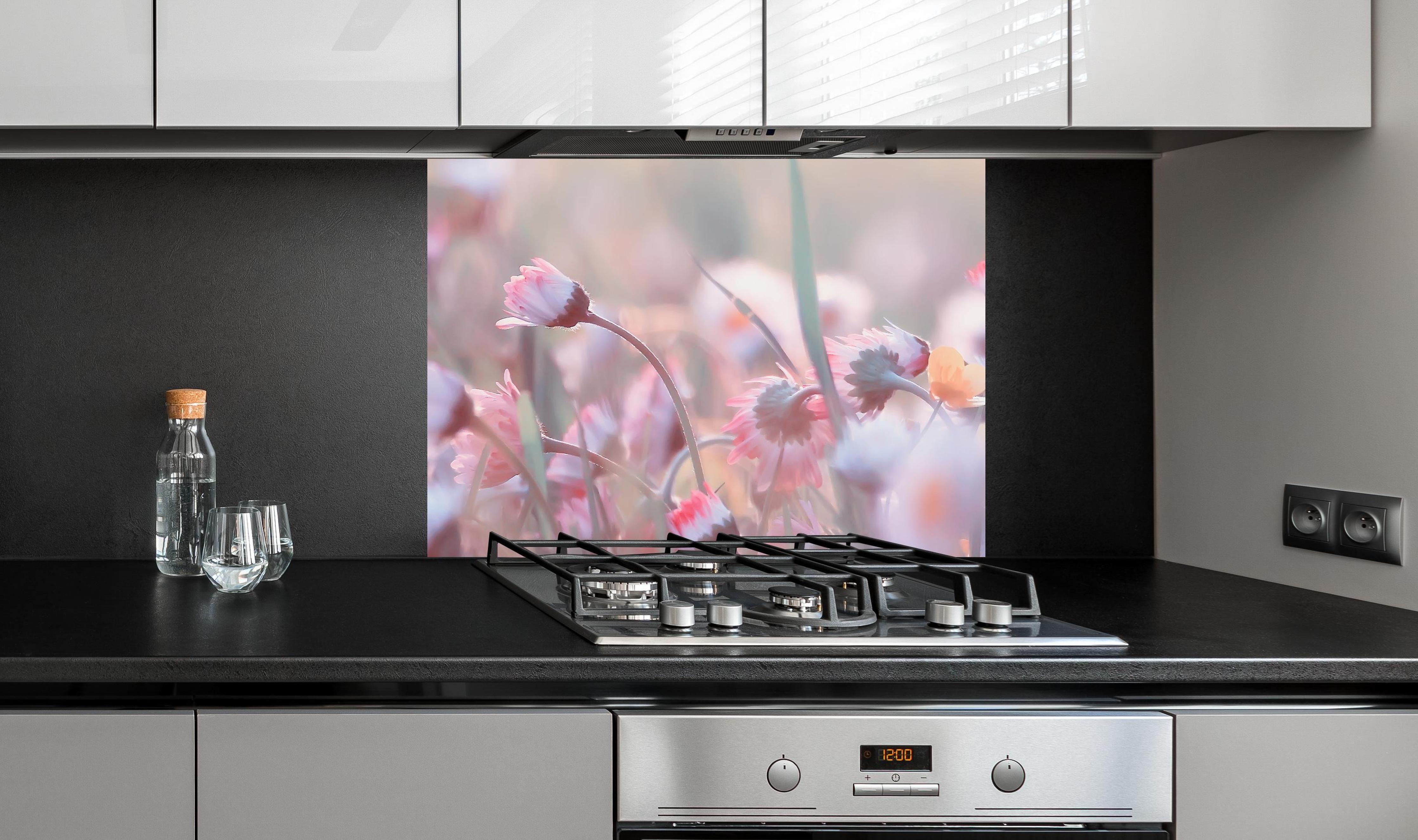 Spritzschutz - Gänseblümchen in der Natur an edler Anthrazit-Wand hinter silbernem Gasherd