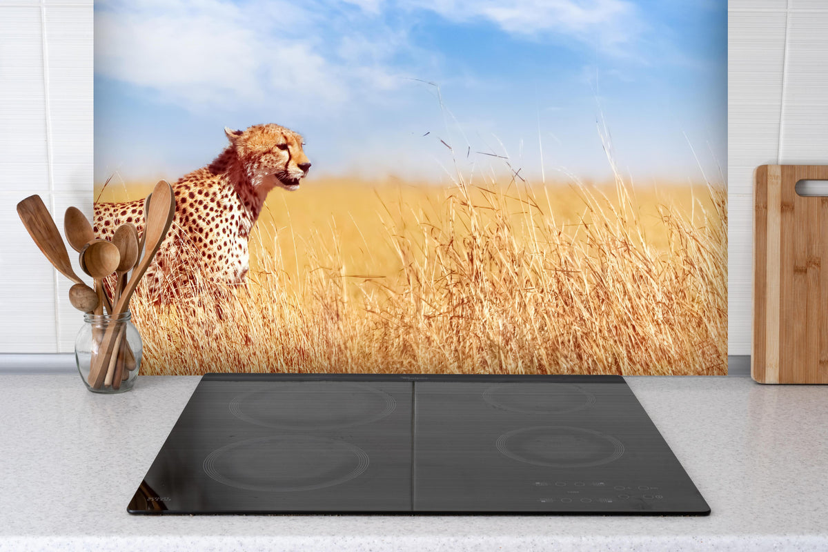 Spritzschutz - Gepard in der afrikanischen Savanne hinter einem Cerankochfeld zwischen Holz-Kochutensilien
