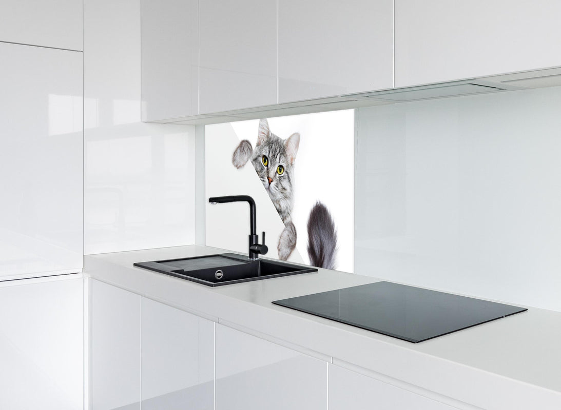 Spritzschutz - Getigertes Kätzchen hinter modernem schwarz-matten Spülbecken in weißer Hochglanz-Küche