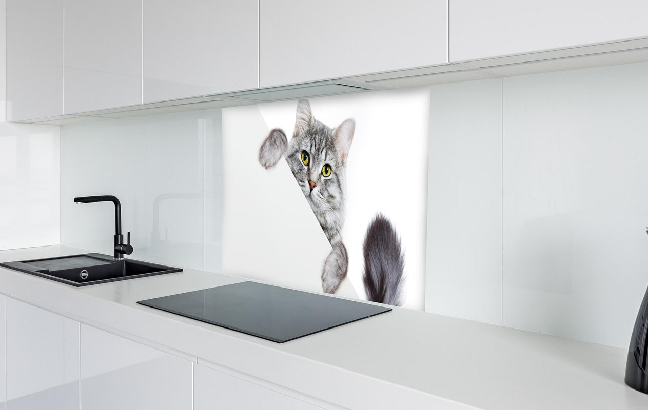 Spritzschutz - Getigertes Kätzchen  in weißer Hochglanz-Küche hinter einem Cerankochfeld