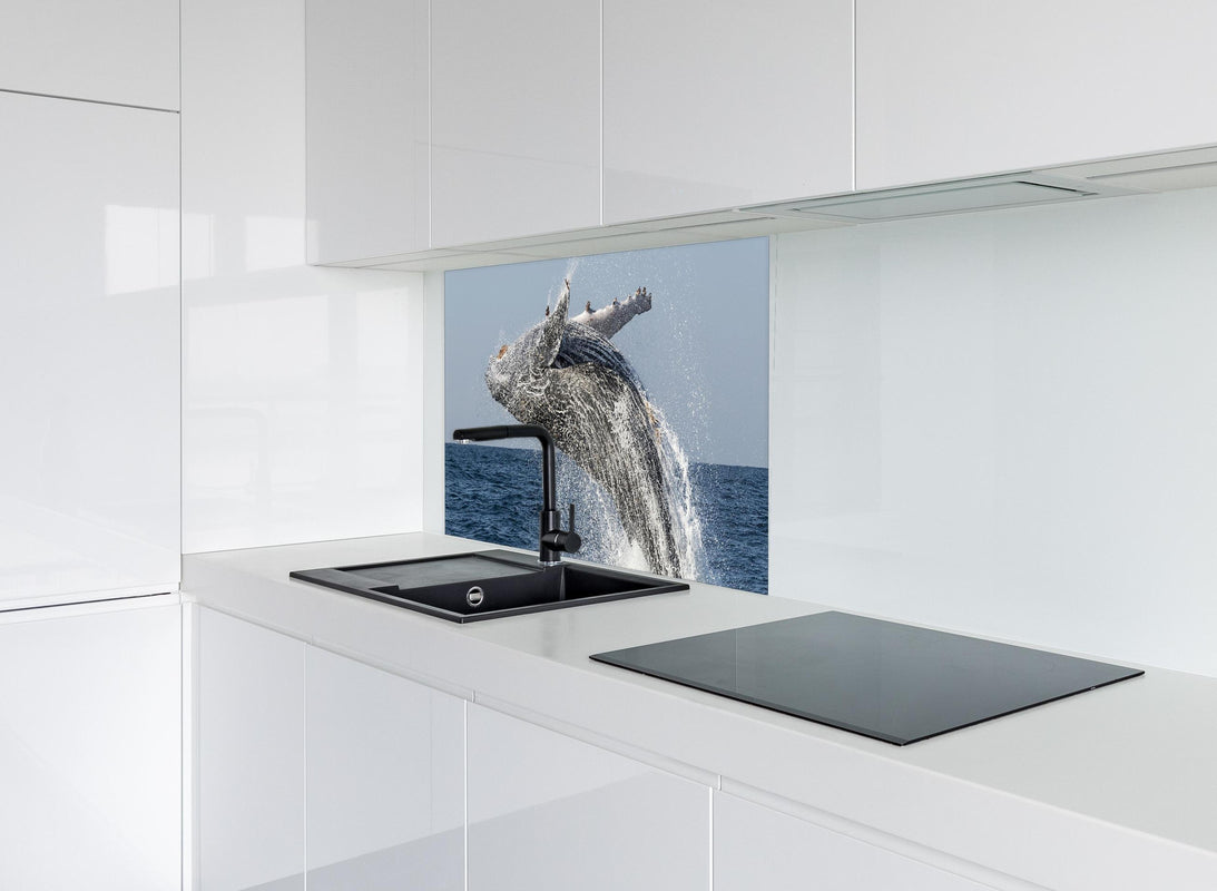 Spritzschutz - Großer Buckelwal beim Auftauchen hinter modernem schwarz-matten Spülbecken in weißer Hochglanz-Küche