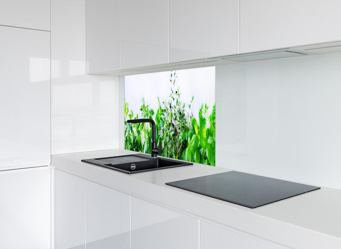 Spritzschutz - Grüne frische Kräuter hinter modernem schwarz-matten Spülbecken in weißer Hochglanz-Küche