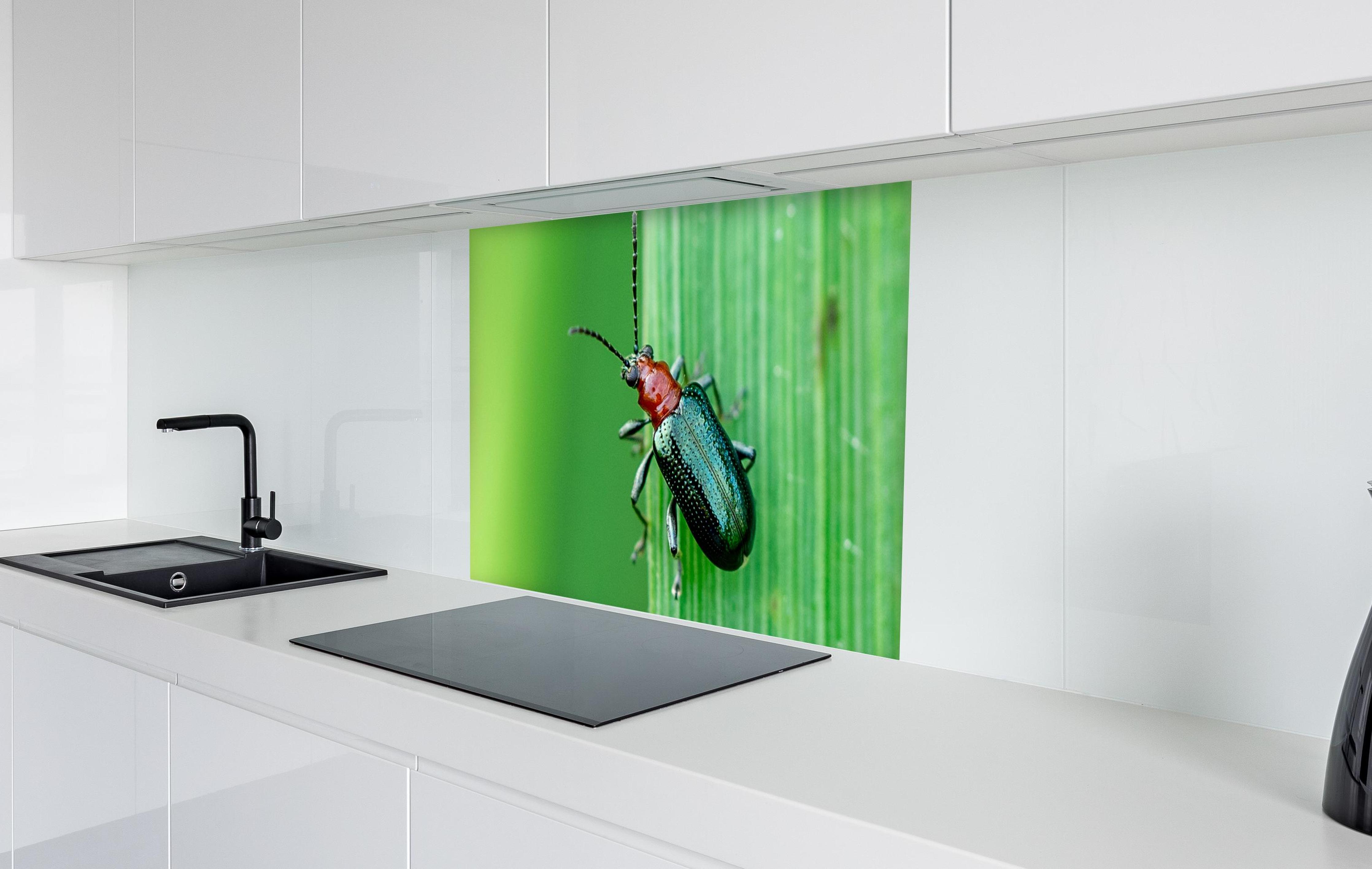Spritzschutz - Käfer auf Blatt  in weißer Hochglanz-Küche hinter einem Cerankochfeld