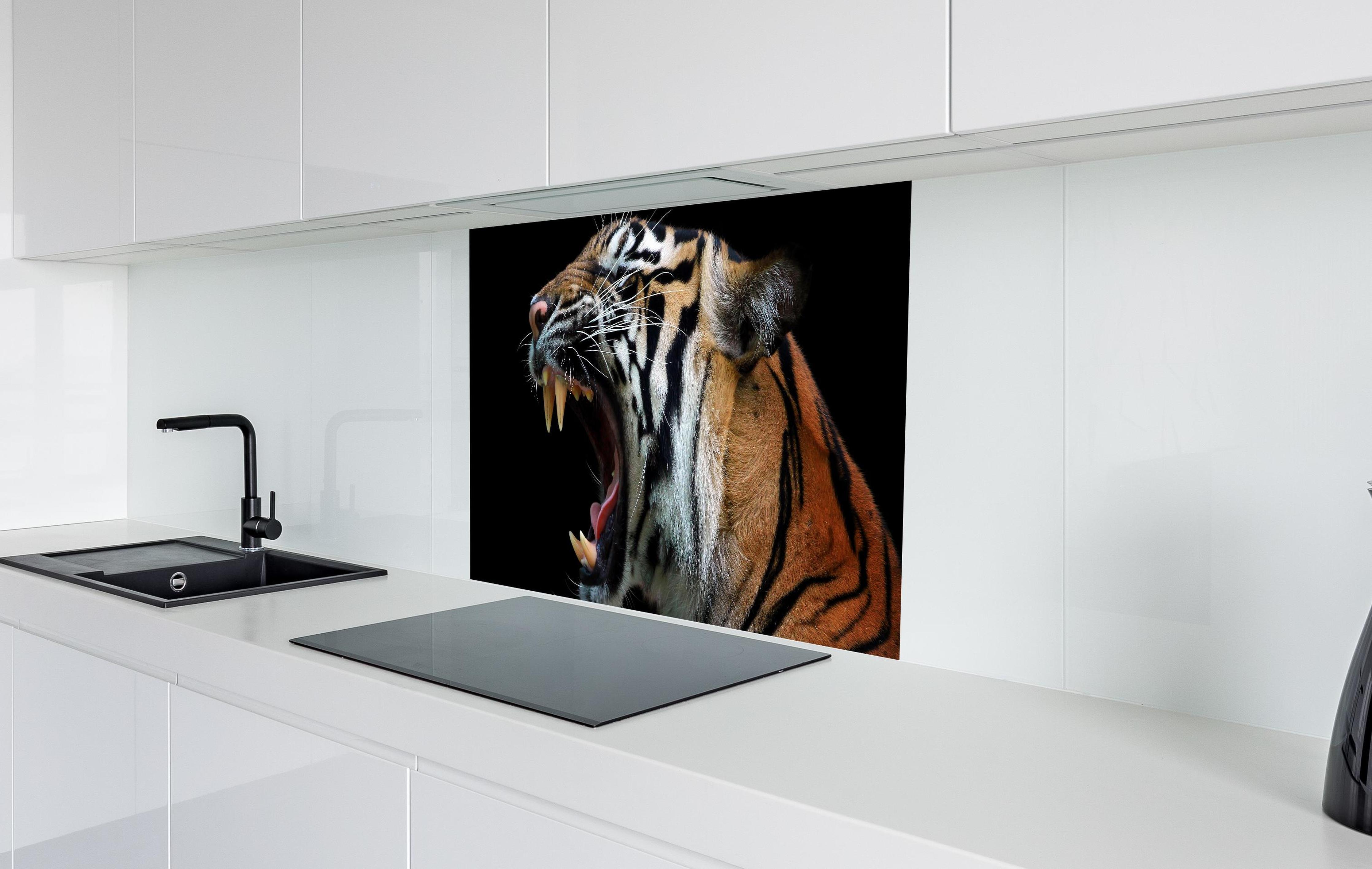 Spritzschutz - Kopf eines Sumatra-Tigers  in weißer Hochglanz-Küche hinter einem Cerankochfeld