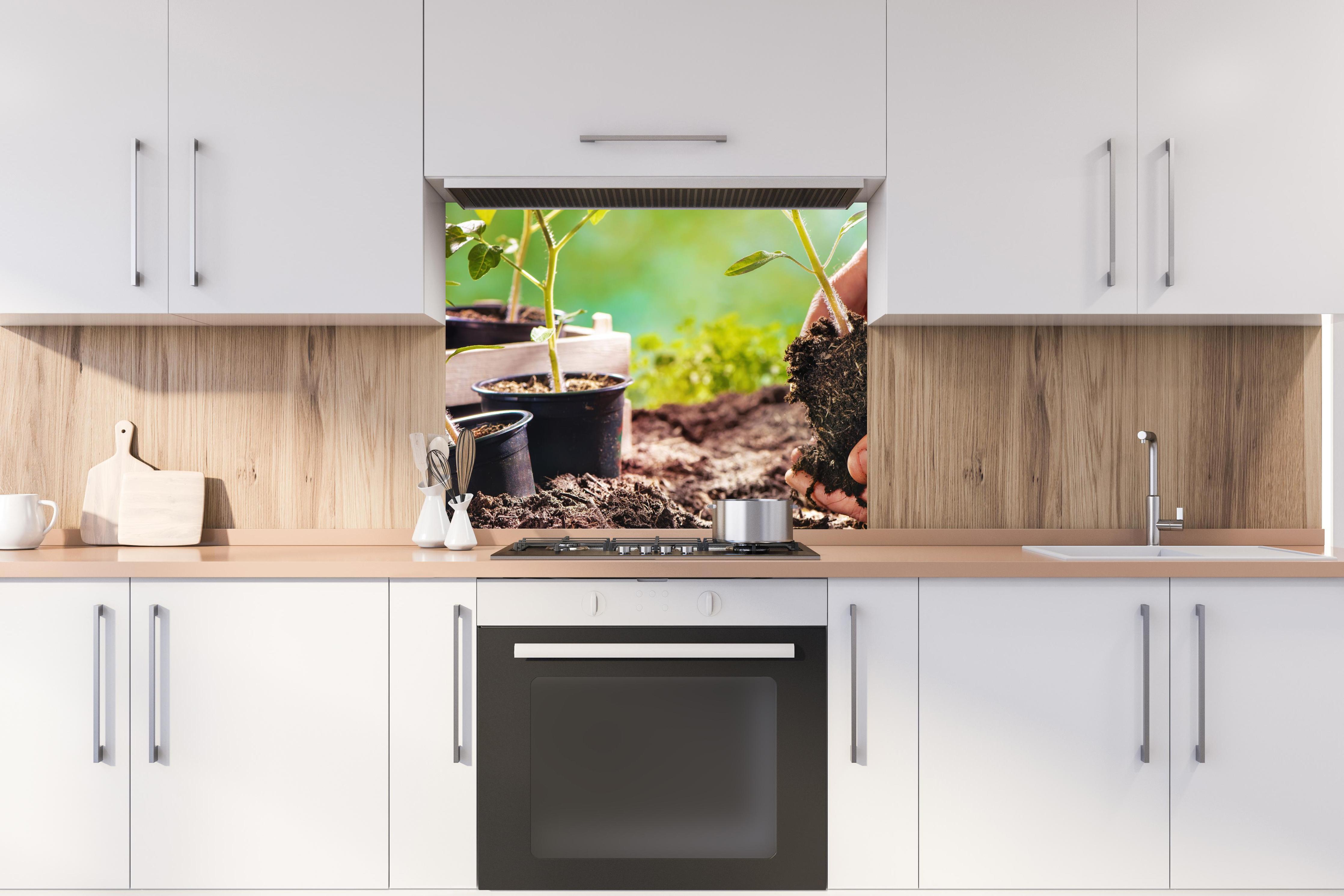 Spritzschutz - Landwirt pflanzt Tomatensetzlinge  hinter stilvollem Gasherd unter Dunstabzugshaube