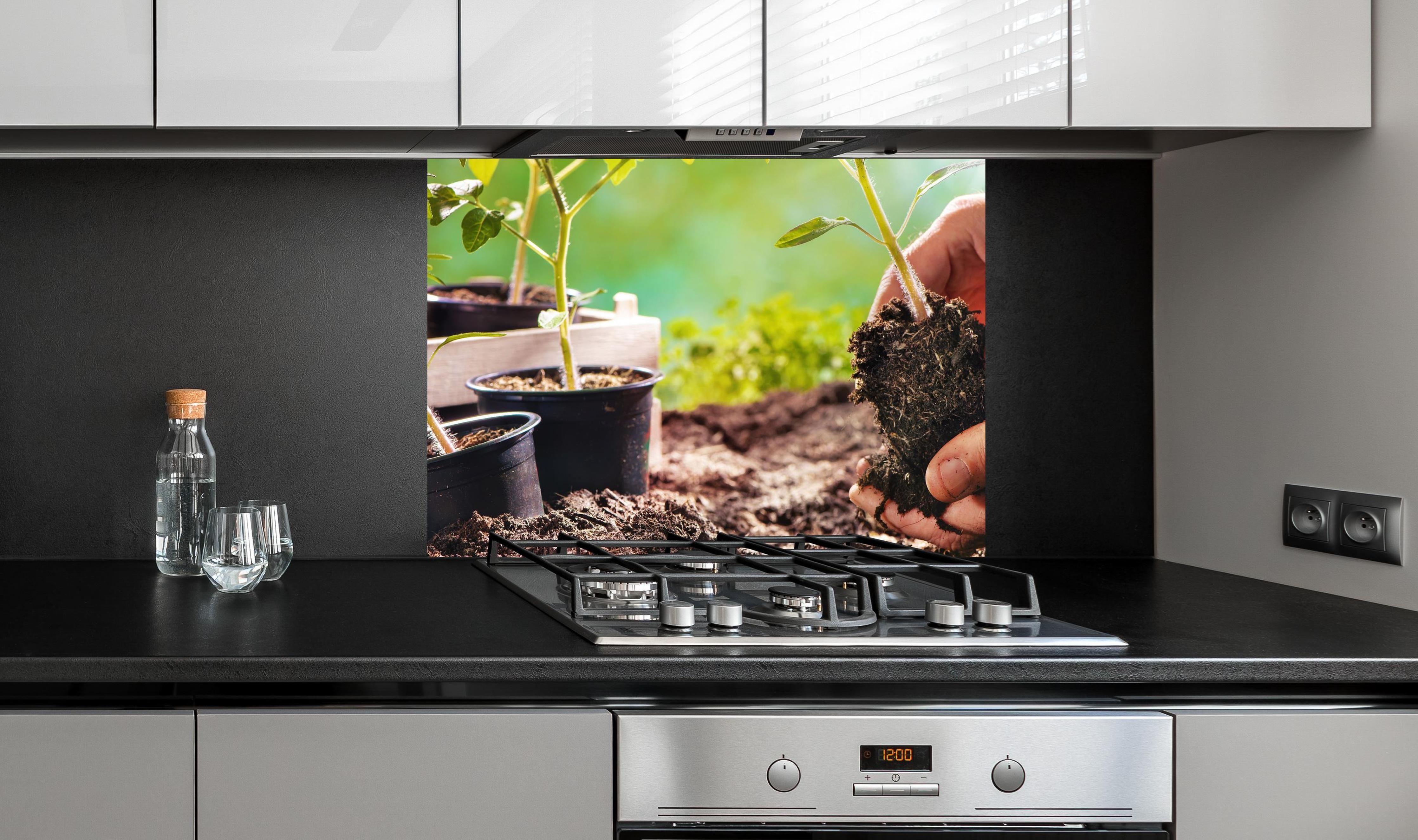 Spritzschutz - Landwirt pflanzt Tomatensetzlinge  an edler Anthrazit-Wand hinter silbernem Gasherd