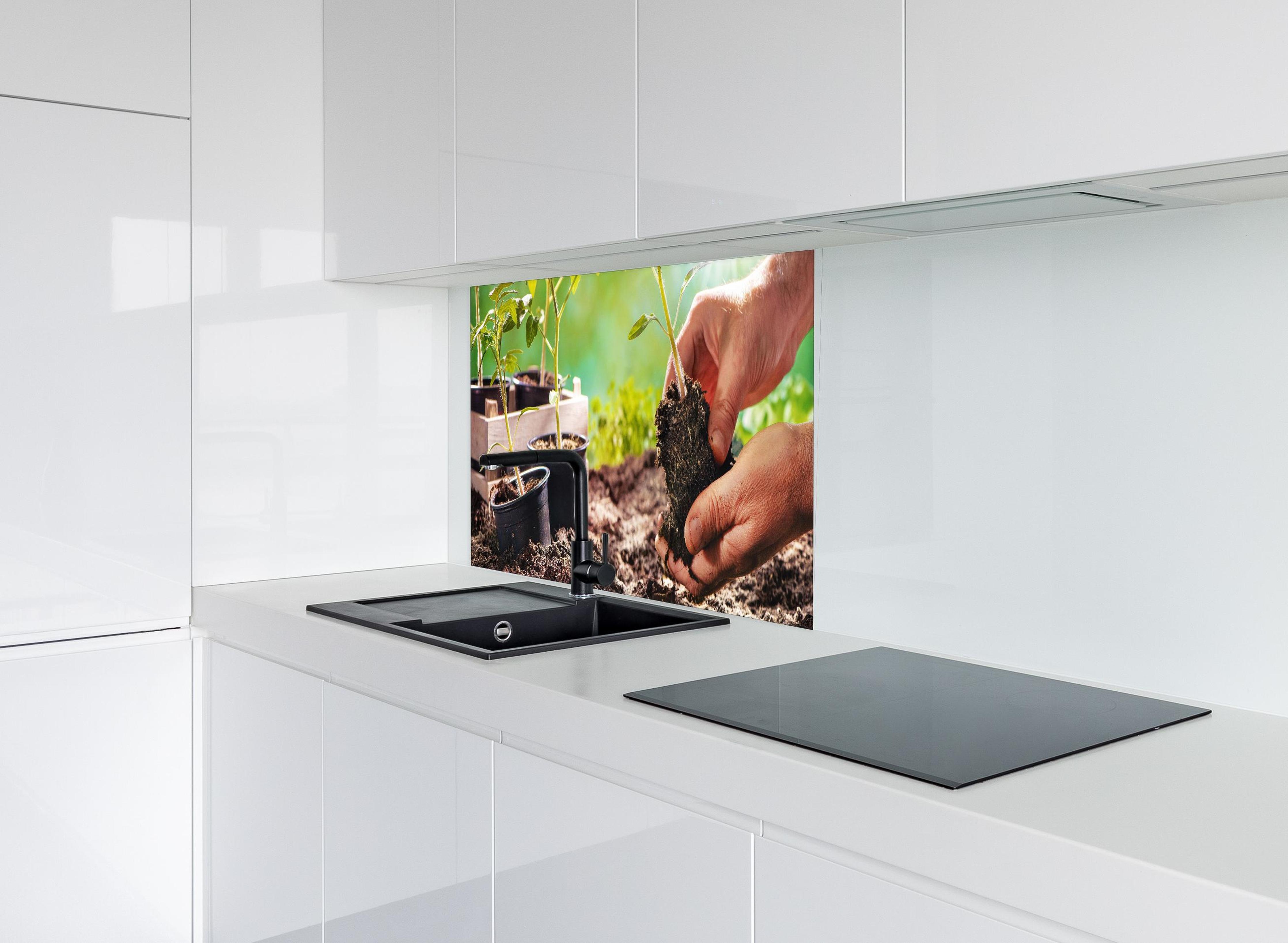 Spritzschutz - Landwirt pflanzt Tomatensetzlinge  hinter modernem schwarz-matten Spülbecken in weißer Hochglanz-Küche