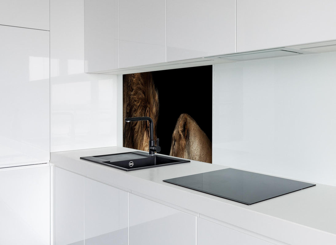 Spritzschutz - Löwe und Löwin gegenüber - Porträt hinter modernem schwarz-matten Spülbecken in weißer Hochglanz-Küche