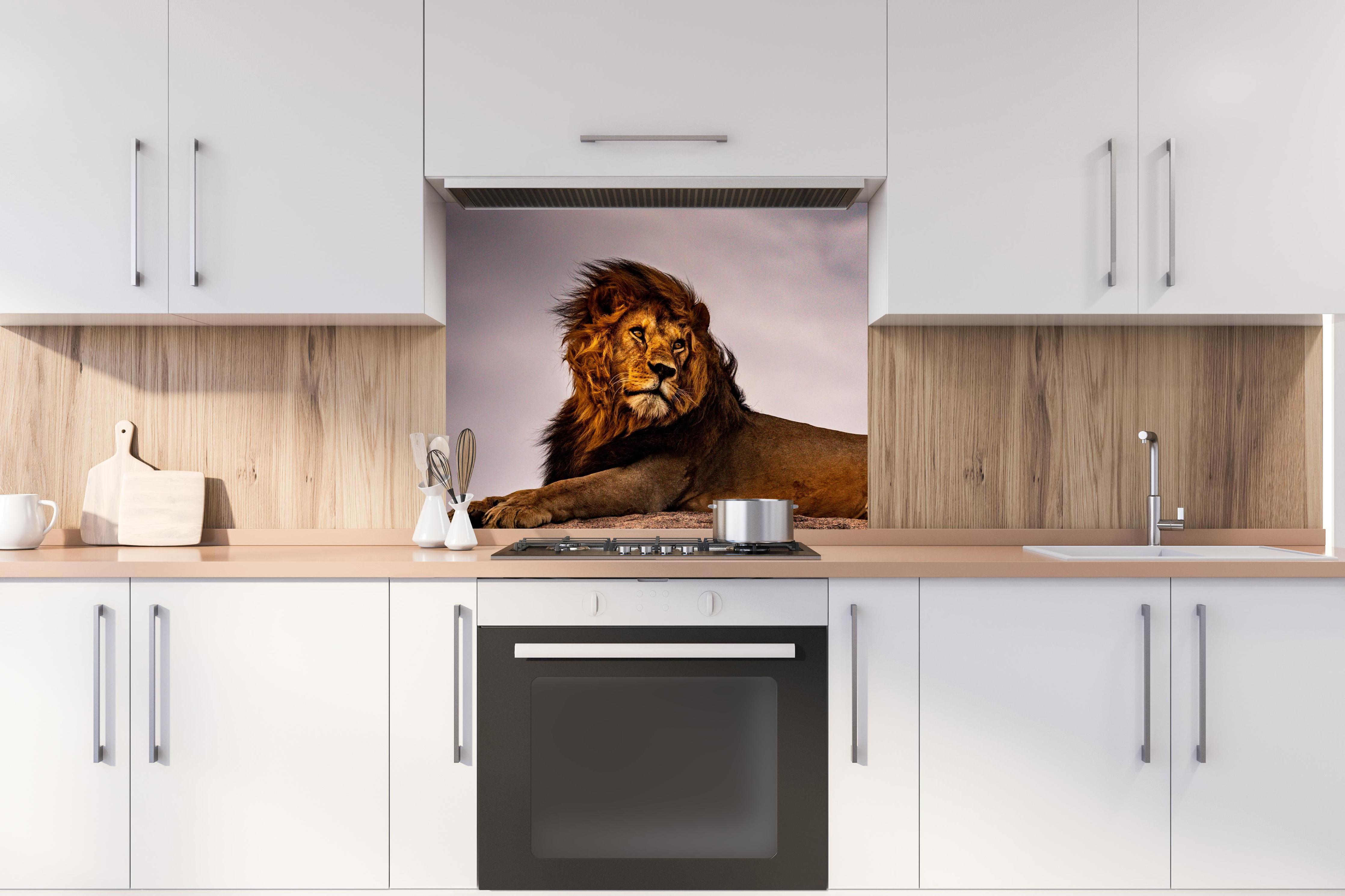 Spritzschutz - Löwe vor dunklem Himmel hinter stilvollem Gasherd unter Dunstabzugshaube