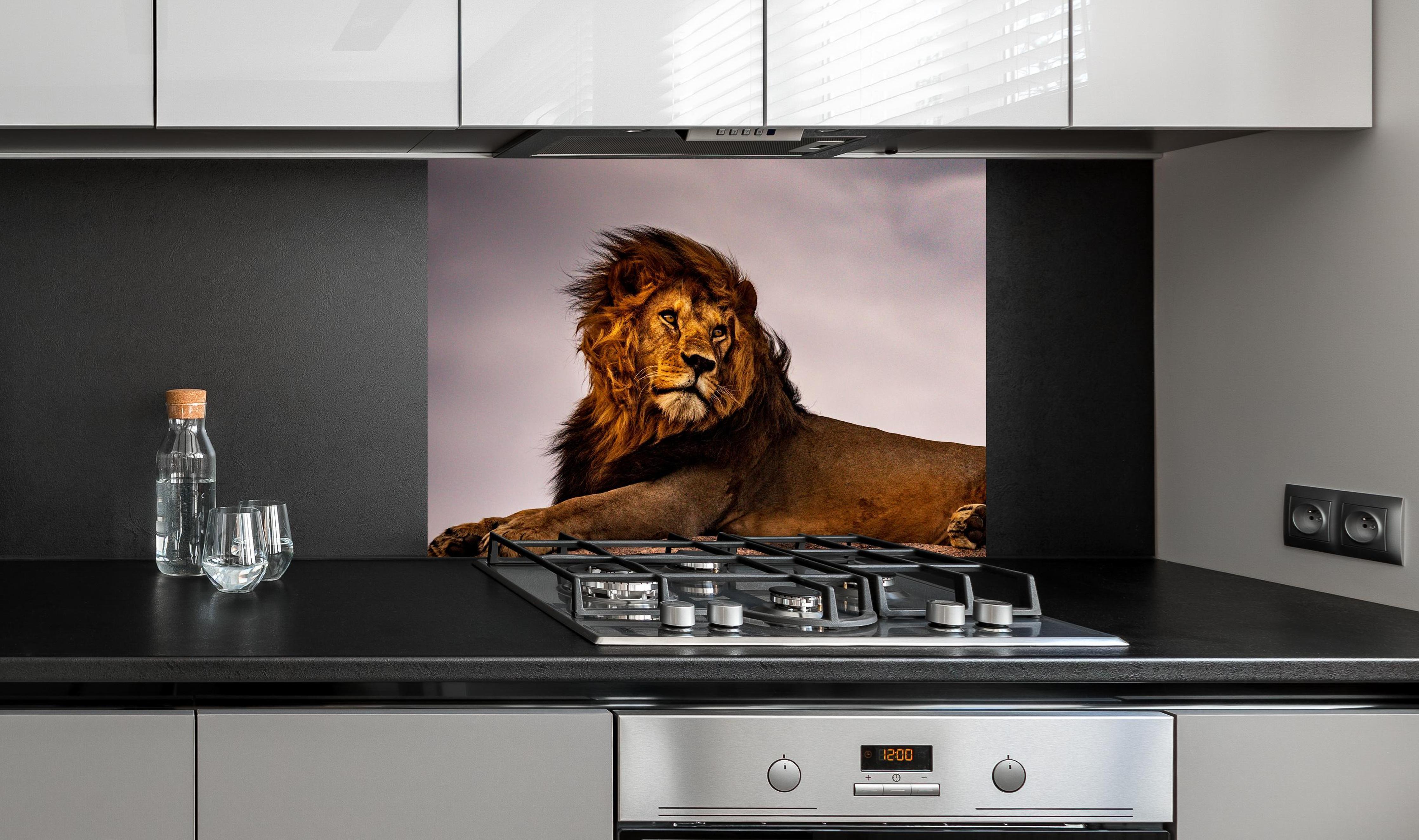 Spritzschutz - Löwe vor dunklem Himmel an edler Anthrazit-Wand hinter silbernem Gasherd