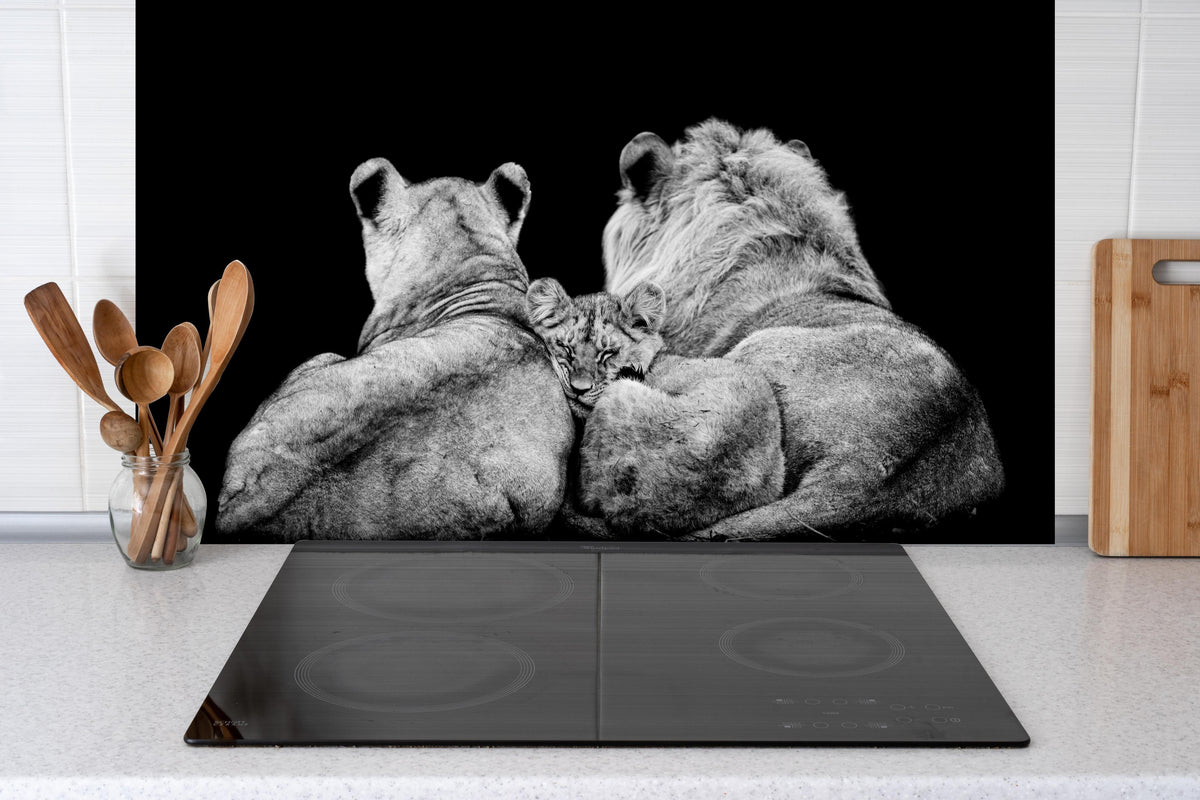 Spritzschutz - Löwenfamilie liegend mit schwarzem Hintergrund hinter einem Cerankochfeld zwischen Holz-Kochutensilien
