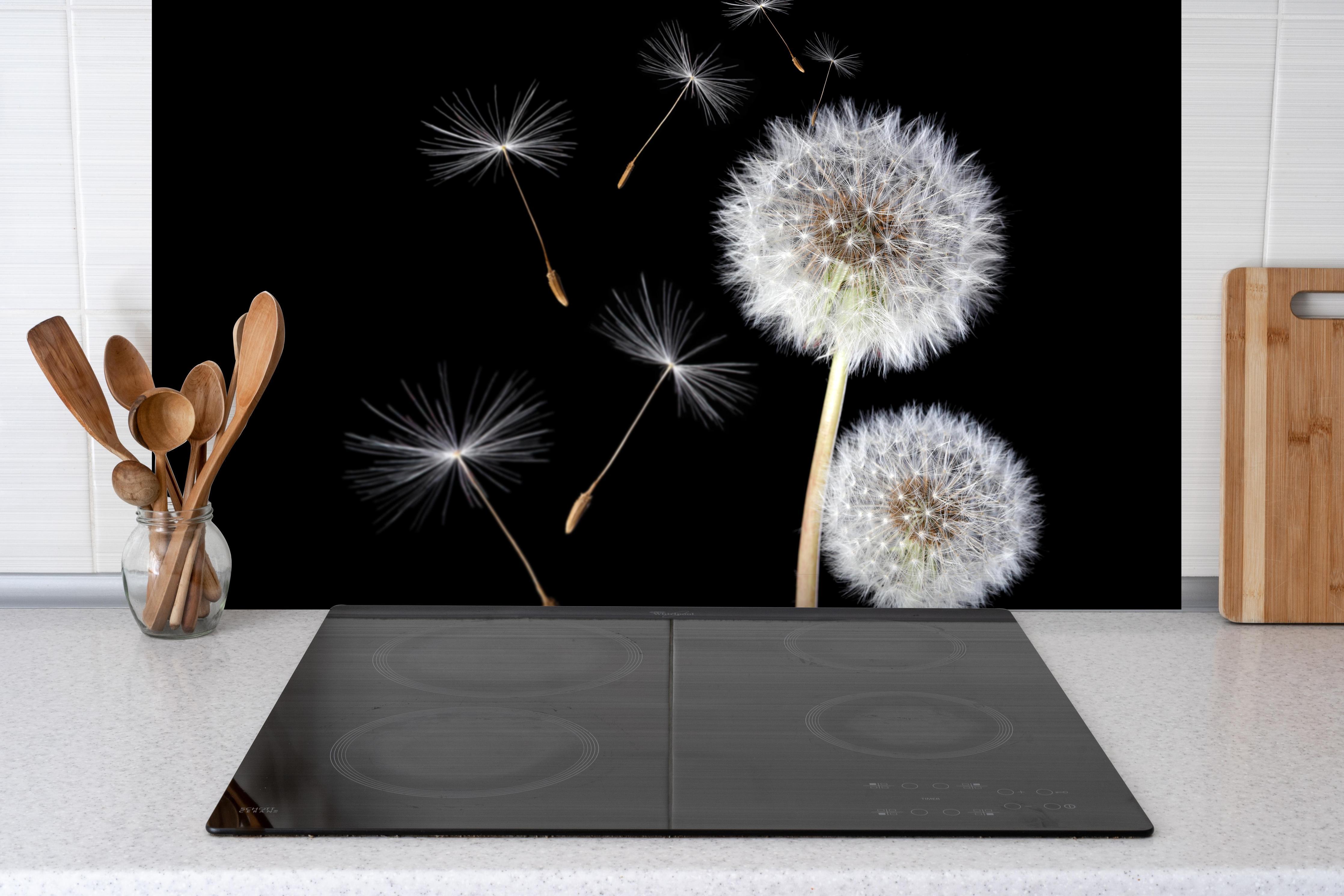 Spritzschutz - Löwenzahn auf schwarzem Hintergrund hinter einem Cerankochfeld zwischen Holz-Kochutensilien

