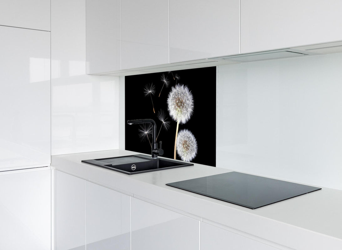 Spritzschutz - Löwenzahn auf schwarzem Hintergrund hinter modernem schwarz-matten Spülbecken in weißer Hochglanz-Küche