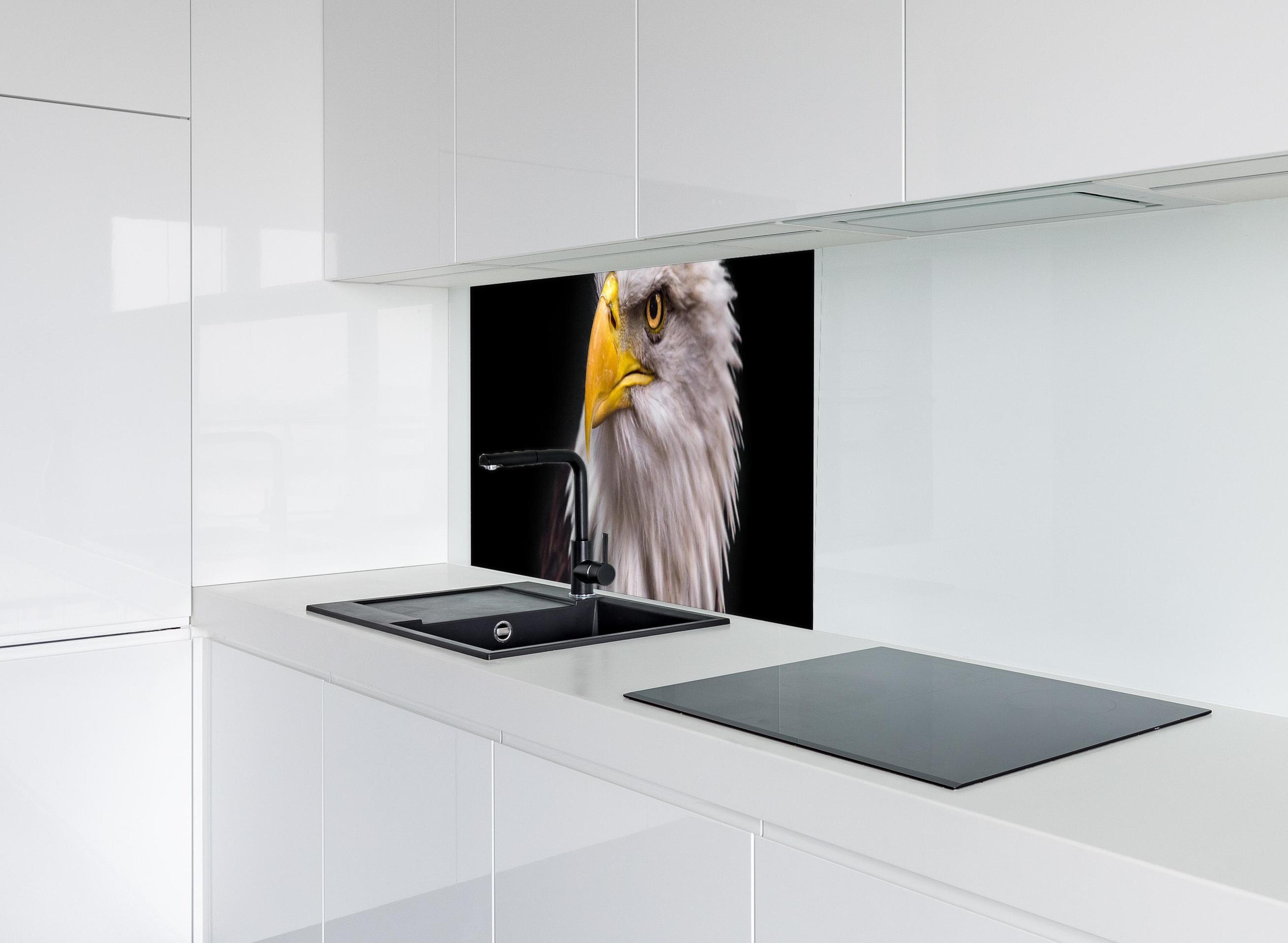 Spritzschutz - Majestätischer Adler hinter modernem schwarz-matten Spülbecken in weißer Hochglanz-Küche