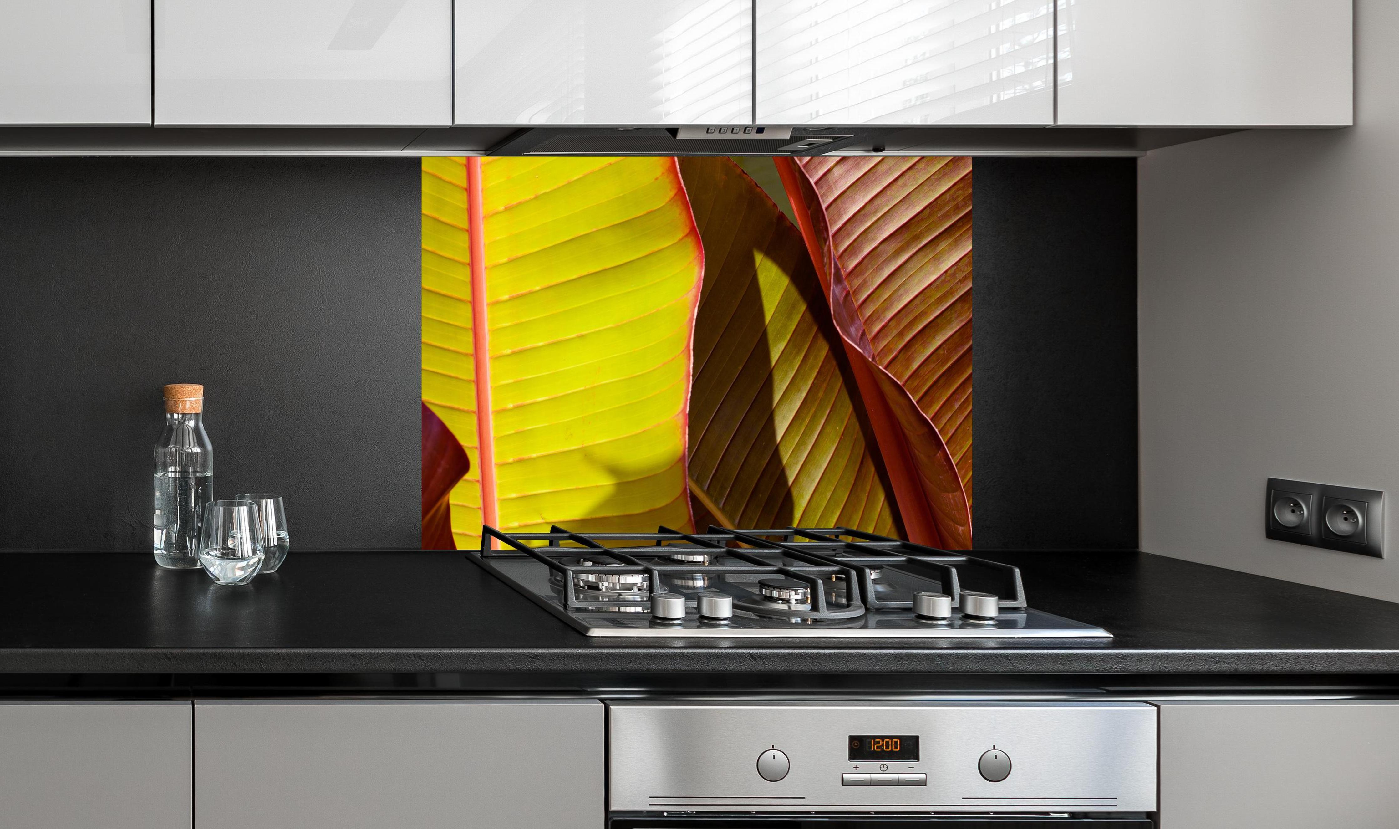 Spritzschutz - Nahaufnahme von Bananenblättern an edler Anthrazit-Wand hinter silbernem Gasherd