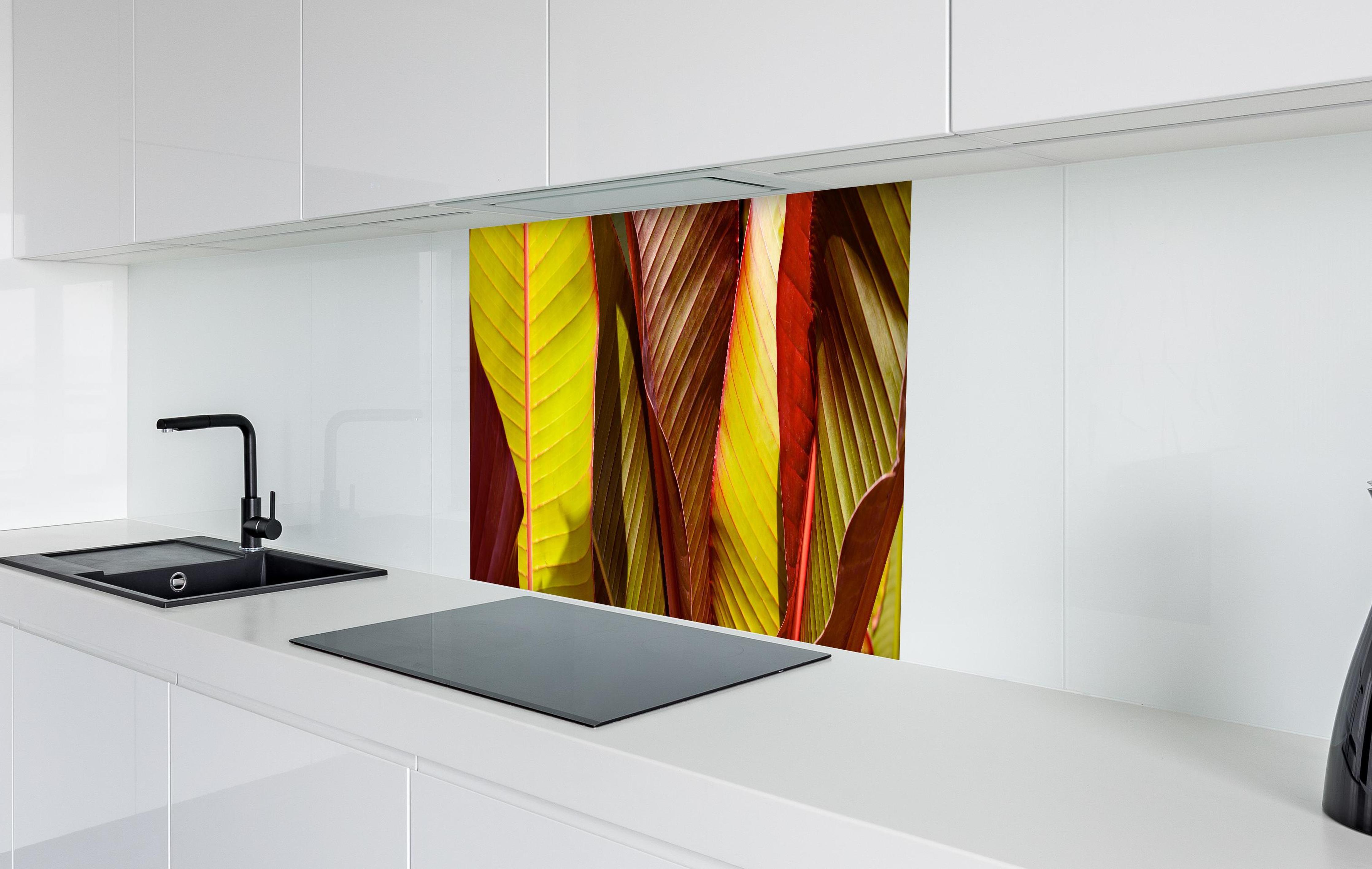Spritzschutz - Nahaufnahme von Bananenblättern  in weißer Hochglanz-Küche hinter einem Cerankochfeld
