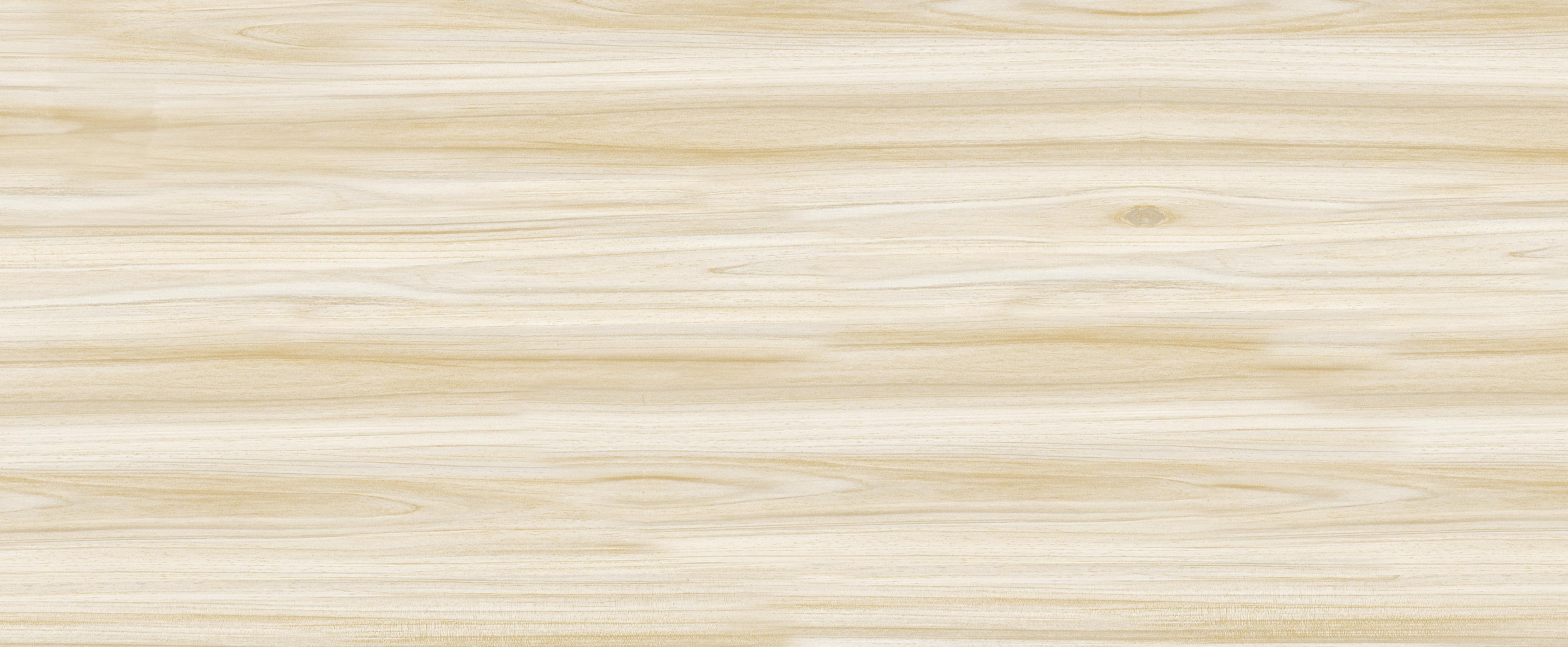 Spritzschutz-Natürliche Holztextur