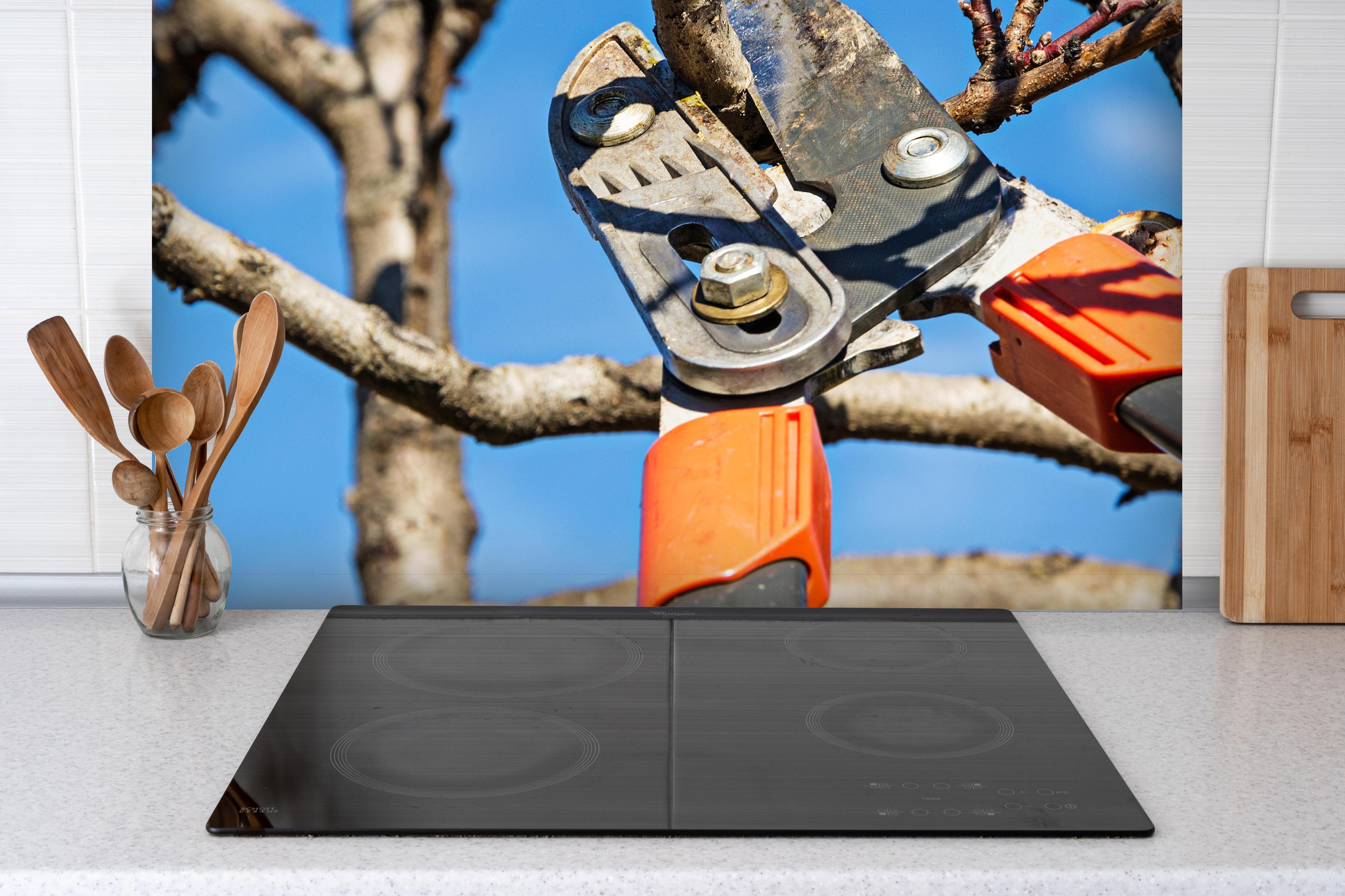 Spritzschutz - Obstbaums - Gartenschere hinter einem Cerankochfeld zwischen Holz-Kochutensilien
