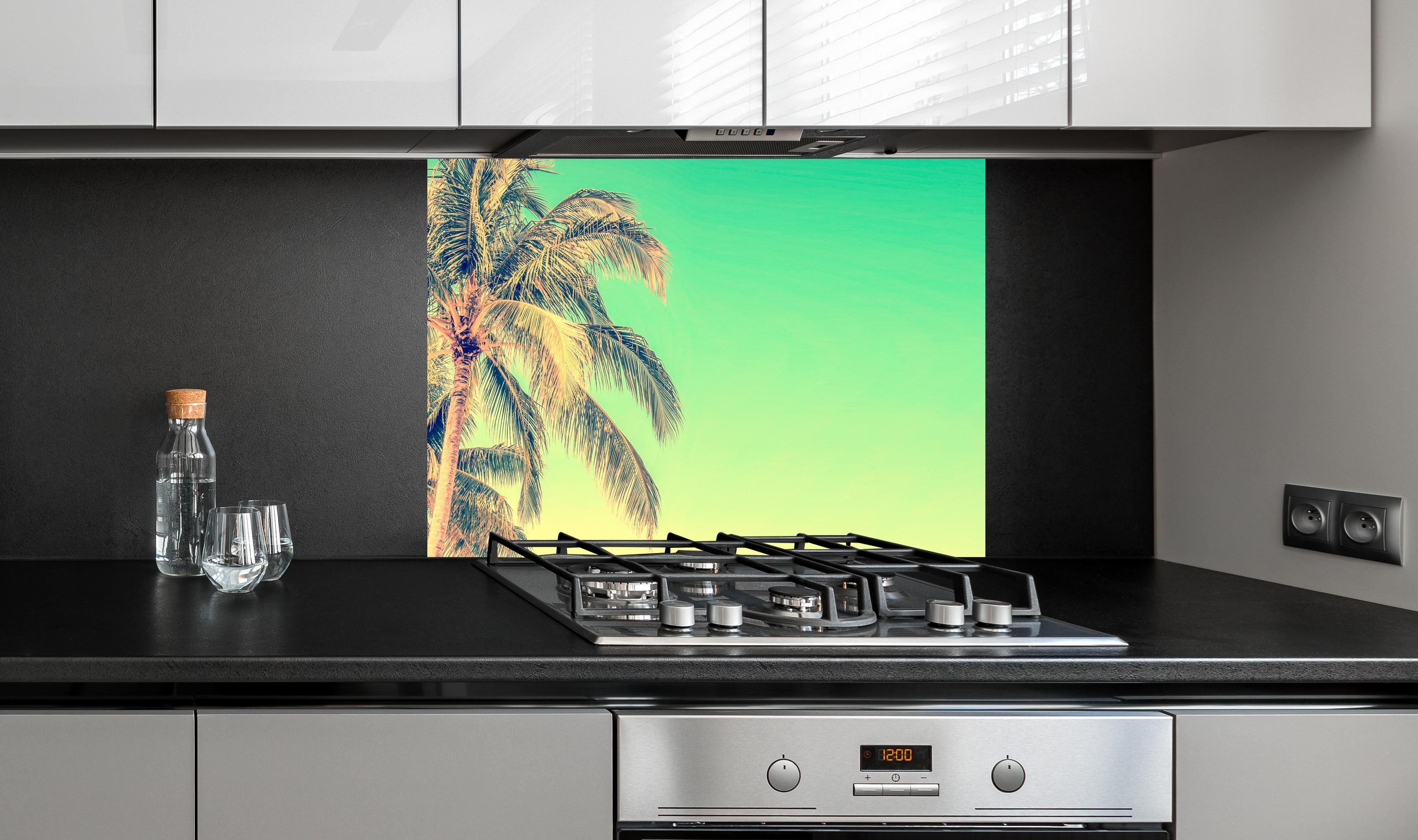 Spritzschutz - Palme im Panorama-Himmel an edler Anthrazit-Wand hinter silbernem Gasherd
