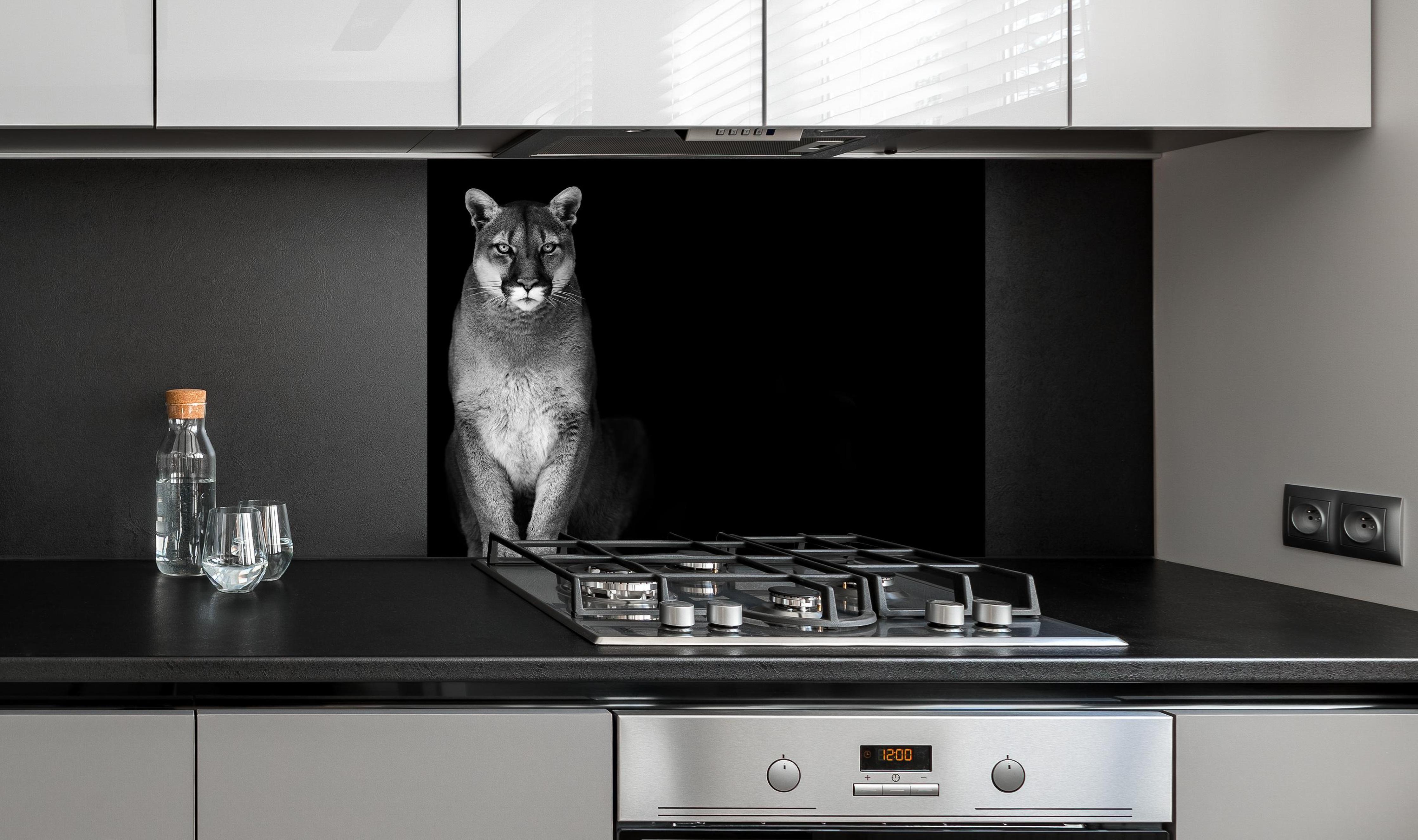 Spritzschutz - Porträt des Bergpumas an edler Anthrazit-Wand hinter silbernem Gasherd