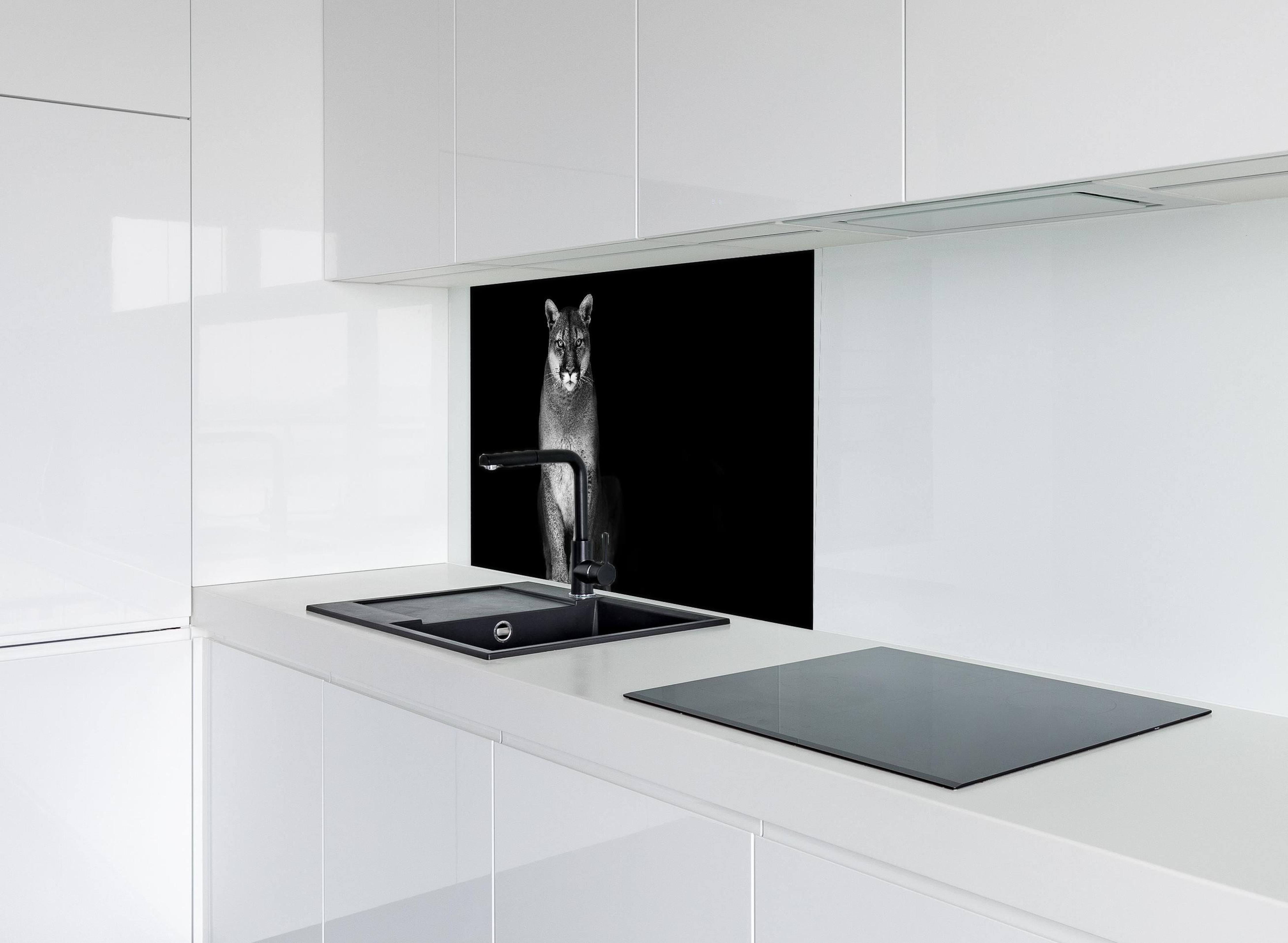 Spritzschutz - Porträt des Bergpumas hinter modernem schwarz-matten Spülbecken in weißer Hochglanz-Küche