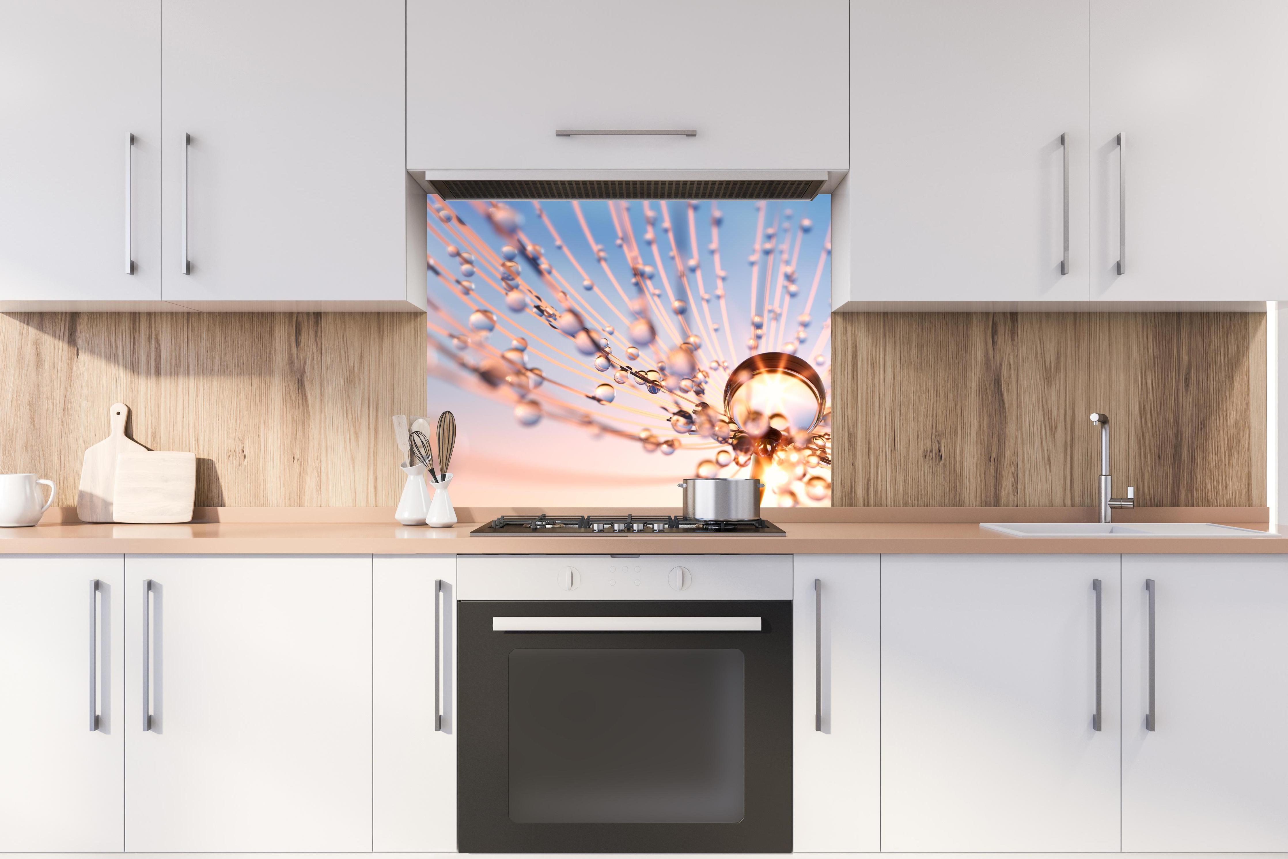 Spritzschutz - Pusteblume in Nahaufnahme mit Tautropfen hinter stilvollem Gasherd unter Dunstabzugshaube