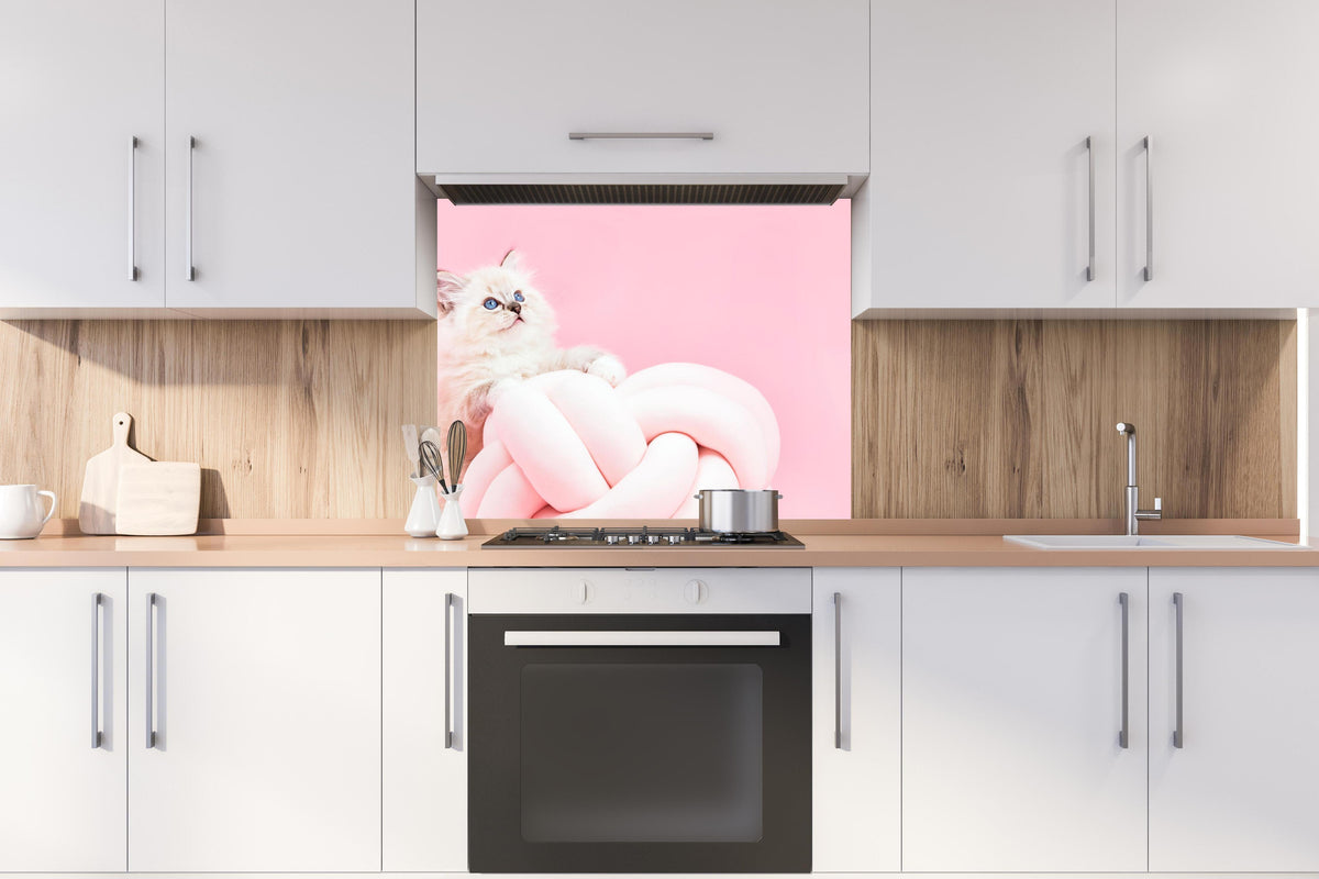 Spritzschutz - Ragdoll Katze auf Pinken Hintergrund hinter stilvollem Gasherd unter Dunstabzugshaube