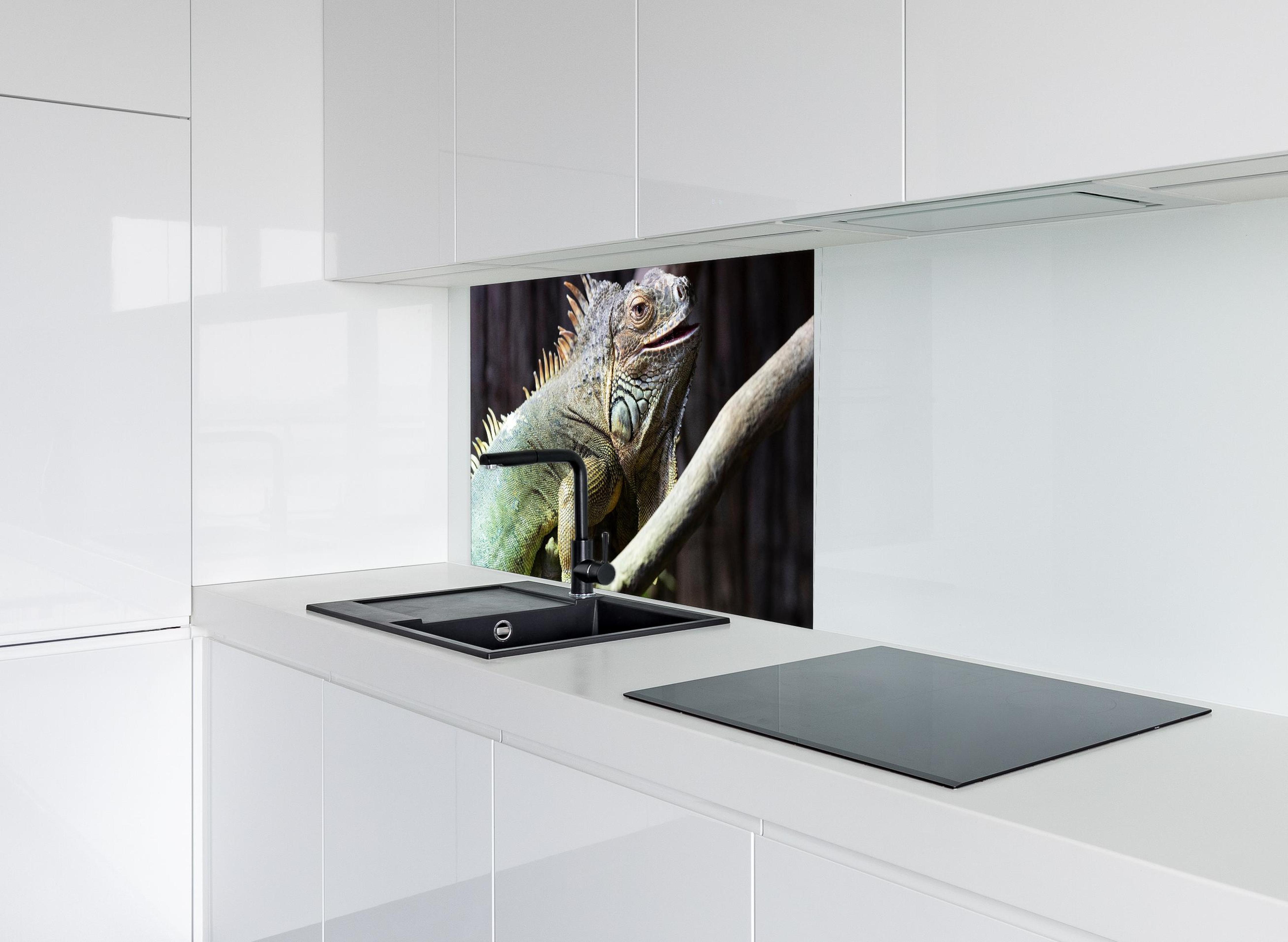 Spritzschutz - Ruhender Leguan hinter modernem schwarz-matten Spülbecken in weißer Hochglanz-Küche